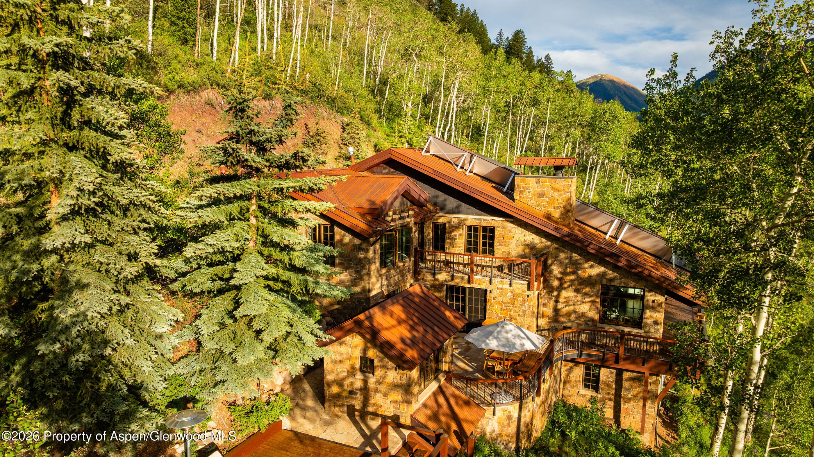 6770 Castle Creek Road, Aspen, CO 81611 - Photo 46