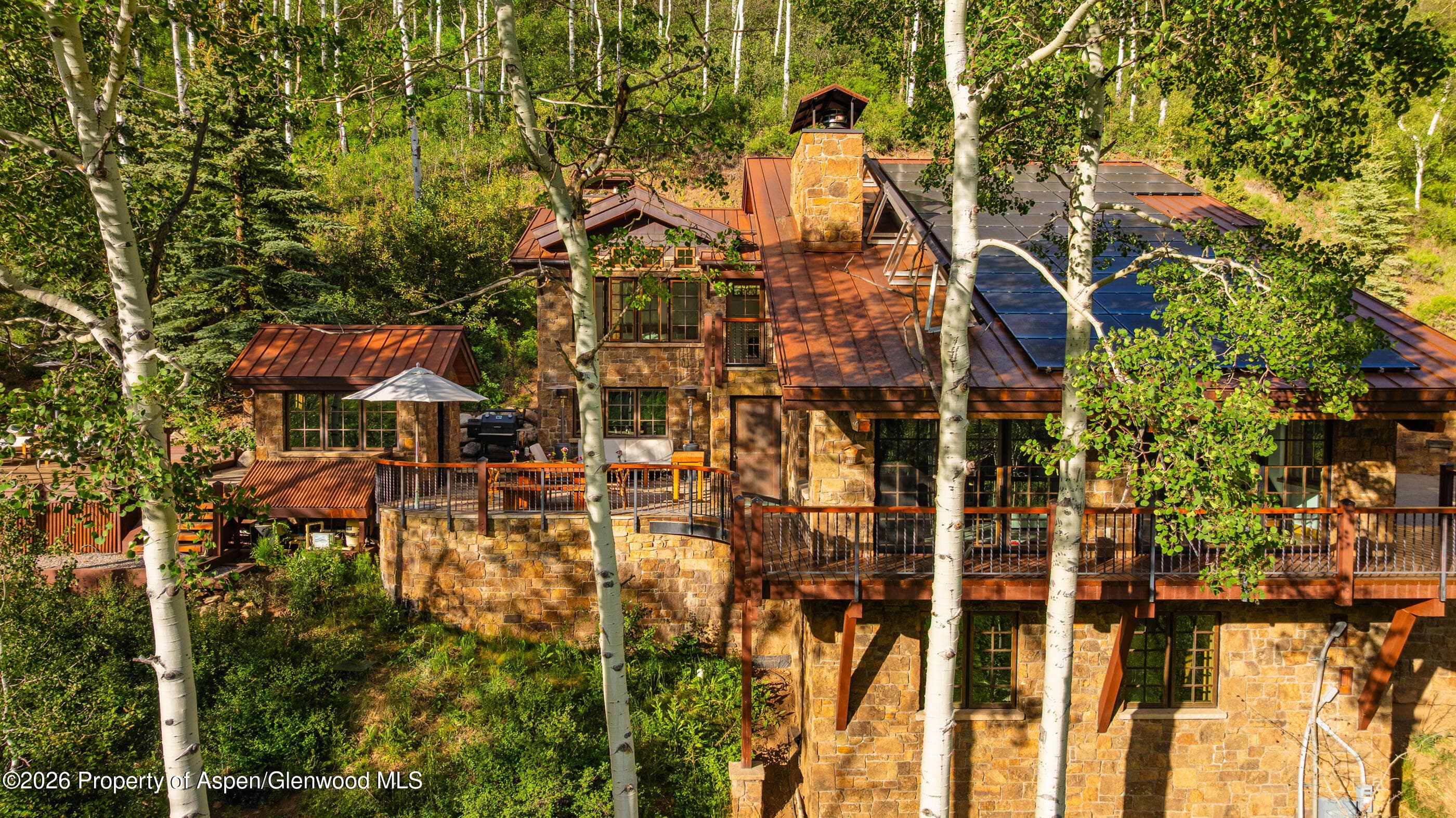 6770 Castle Creek Road, Aspen, CO 81611 - Photo 57