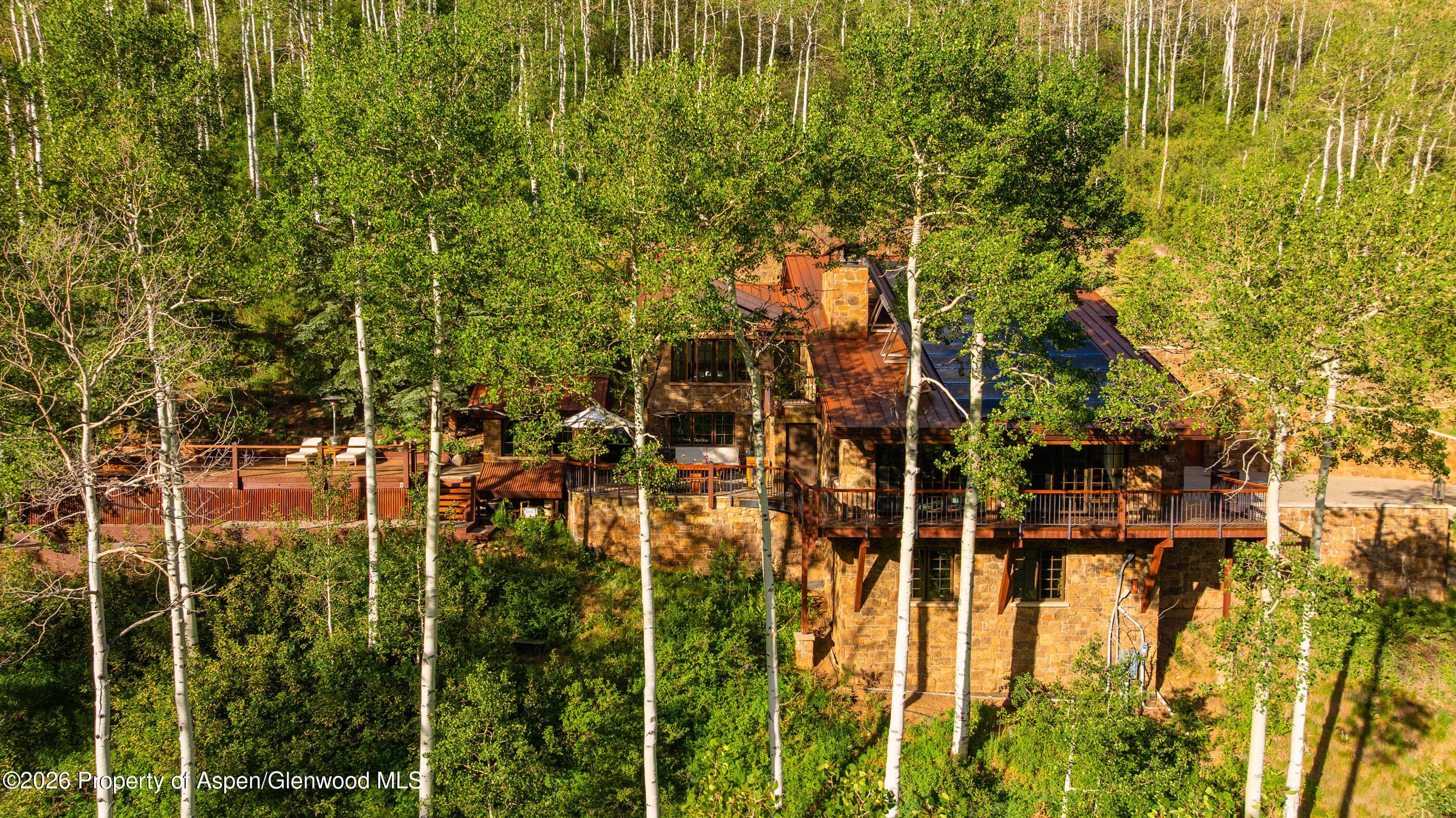 6770 Castle Creek Road, Aspen, CO 81611 - Photo 59