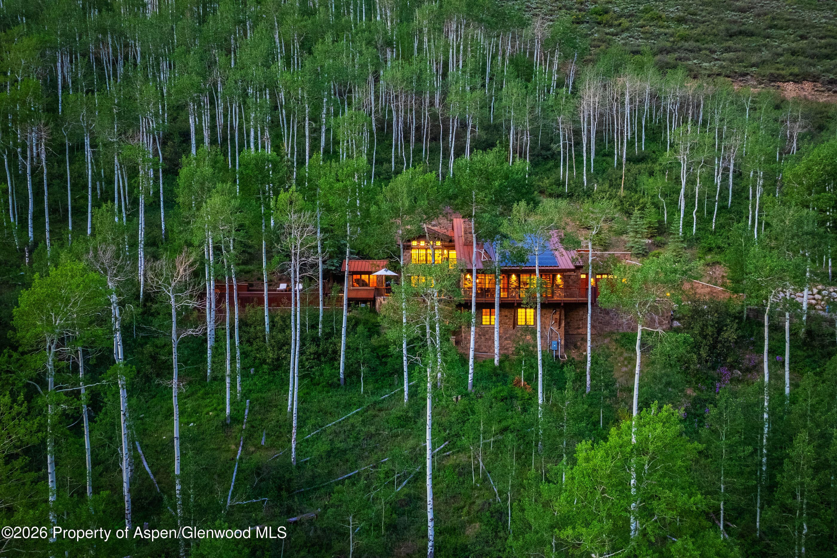 6770 Castle Creek Road, Aspen, CO 81611 - Photo 63