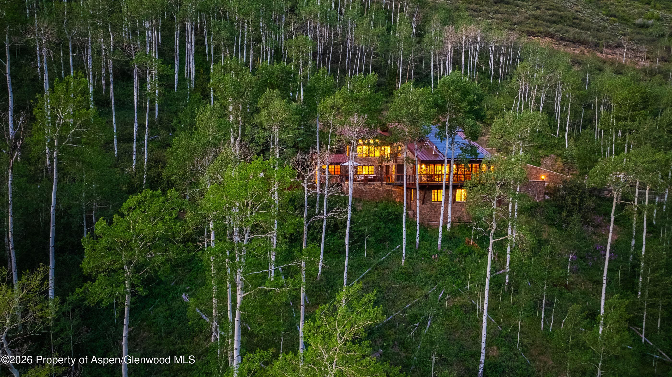 6770 Castle Creek Road, Aspen, CO 81611 - Photo 72