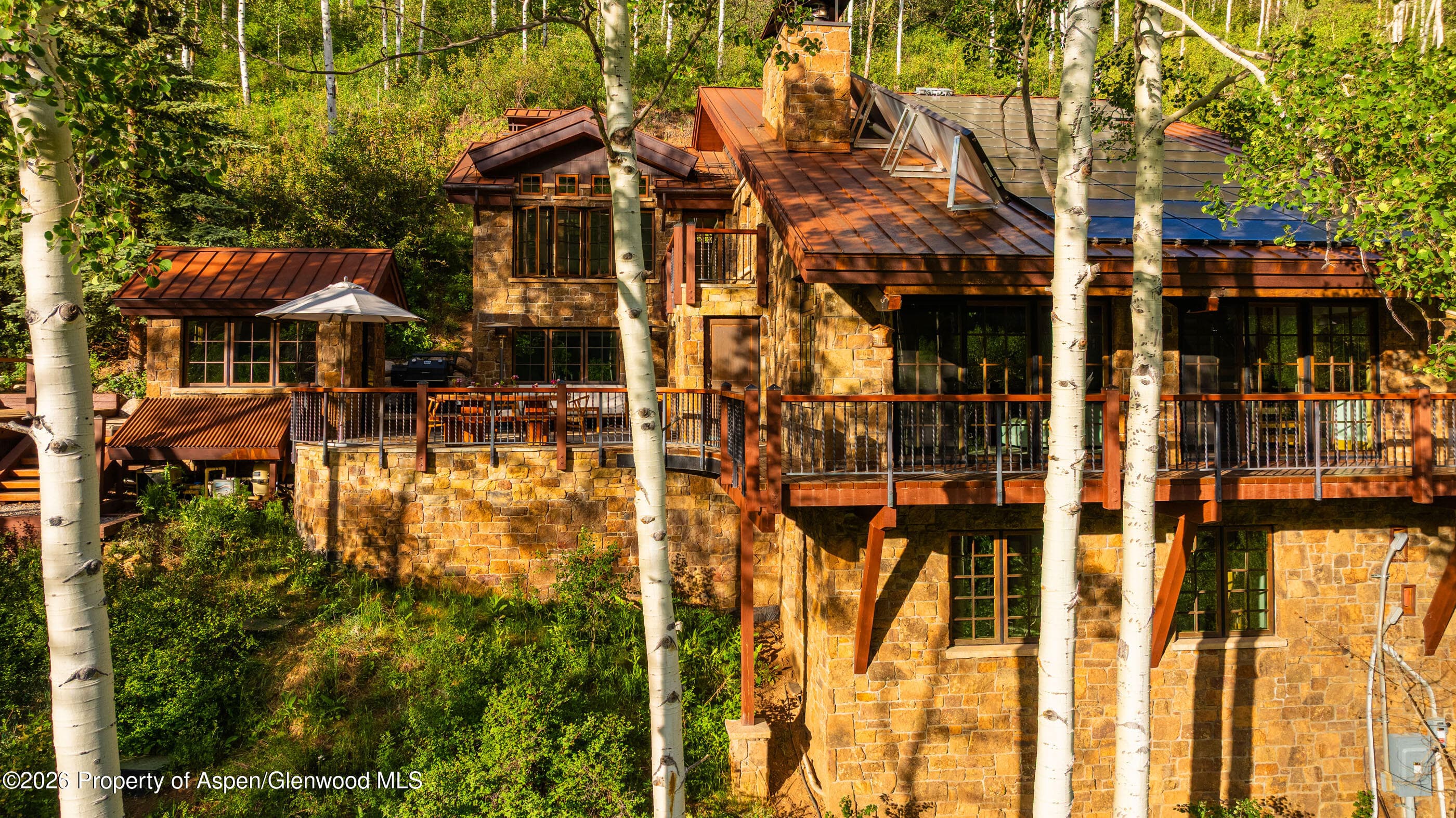 6770 Castle Creek Road, Aspen, CO 81611 - Photo 89