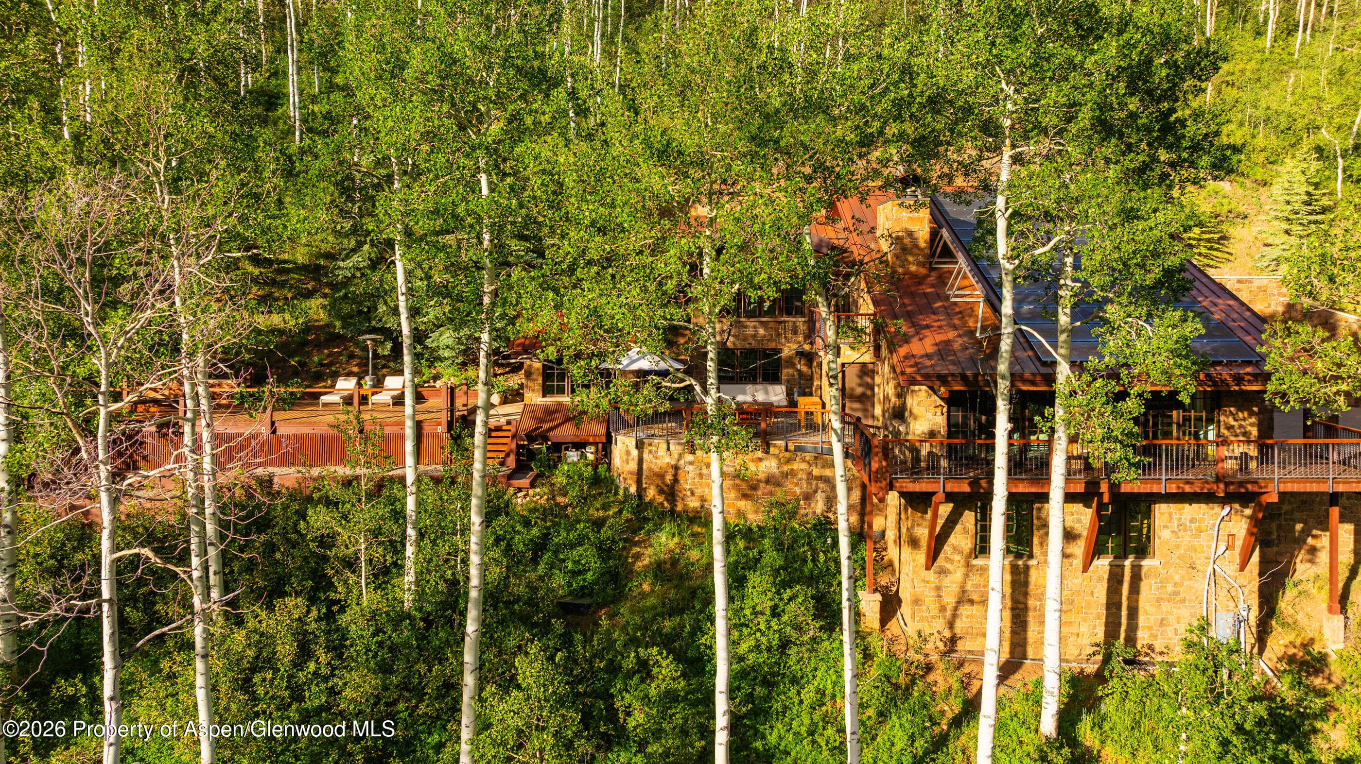 6770 Castle Creek Road, Aspen, CO 81611 - Photo 93