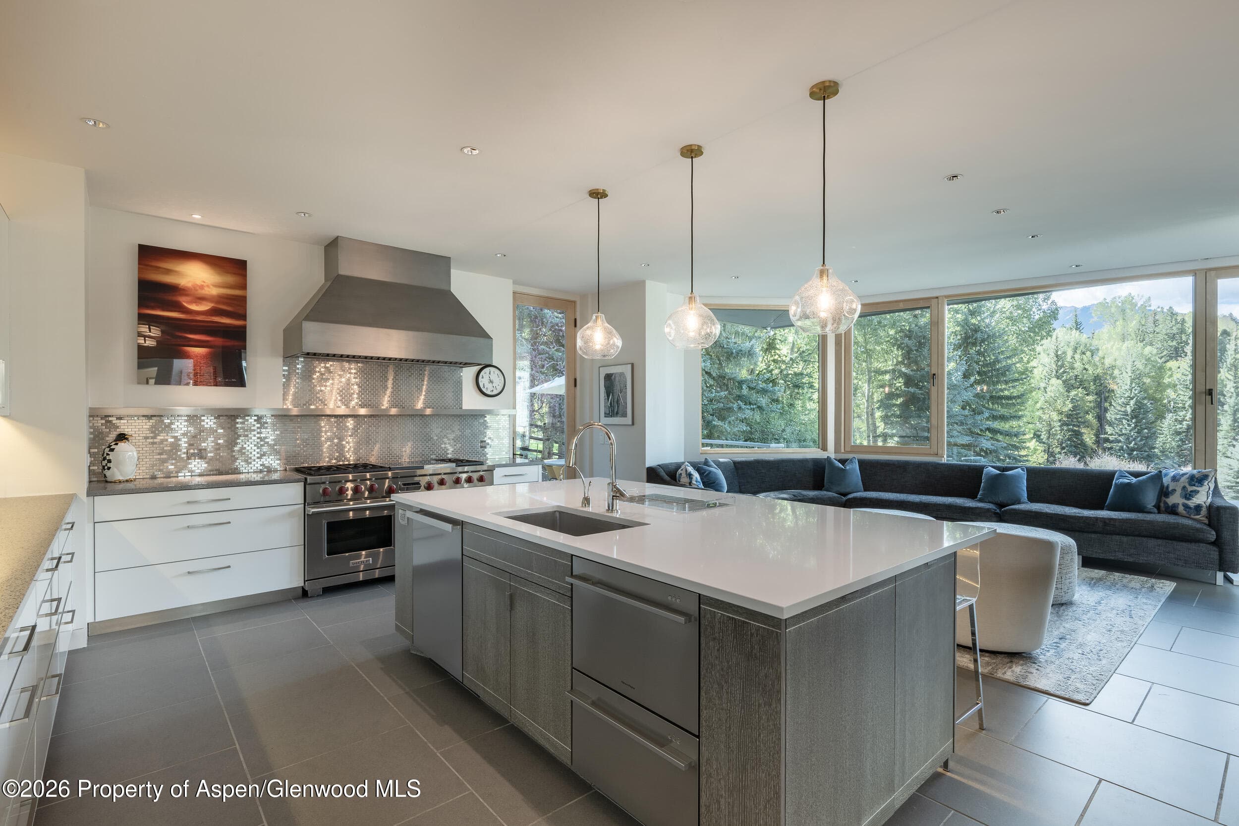 58 Pitkin Way, Aspen, CO 81611 - Photo 9