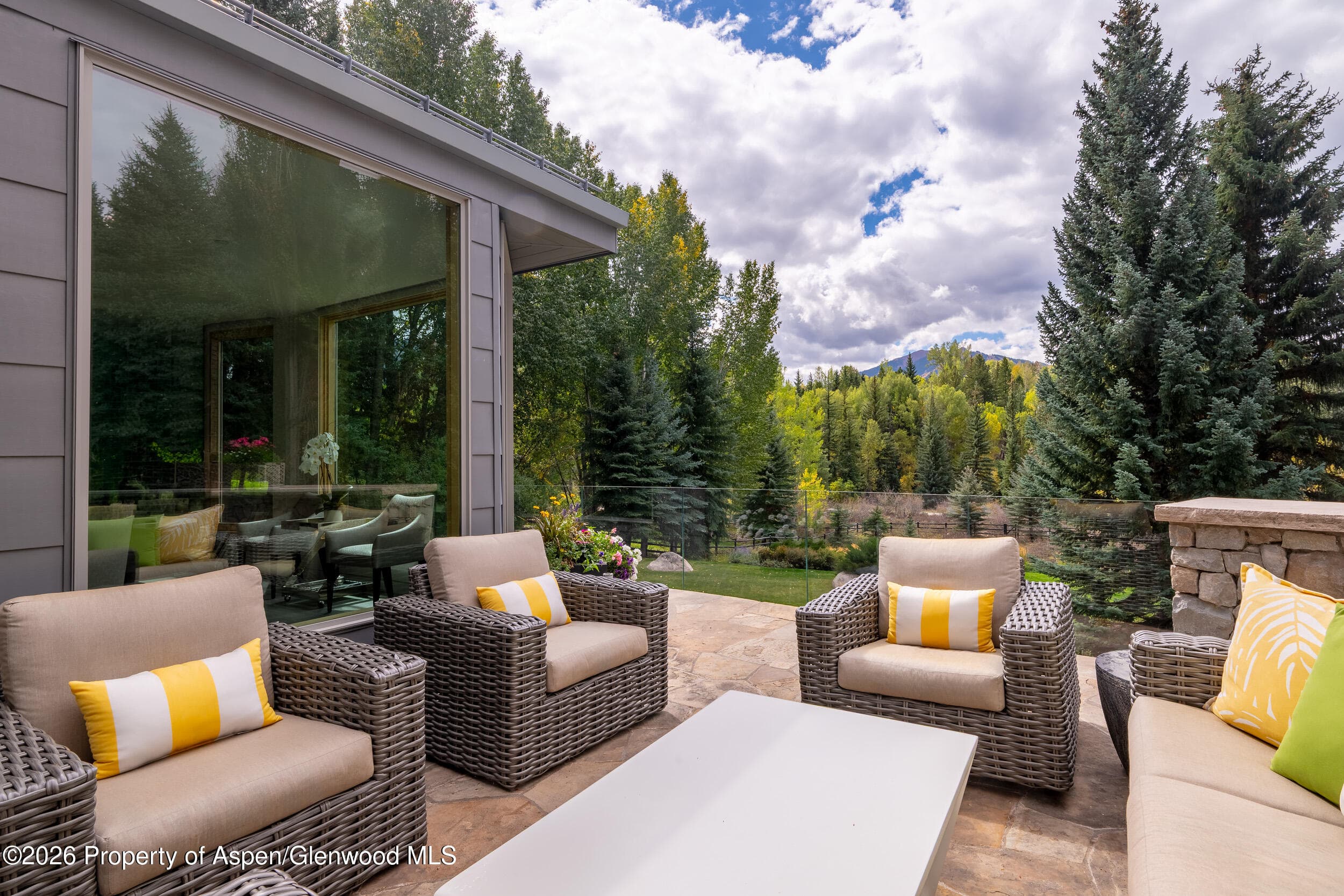 58 Pitkin Way, Aspen, CO 81611 - Photo 13
