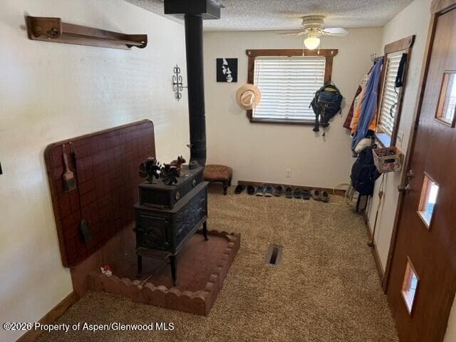250 County Road 127 #16, Glenwood Springs, CO 81601 - Photo 10