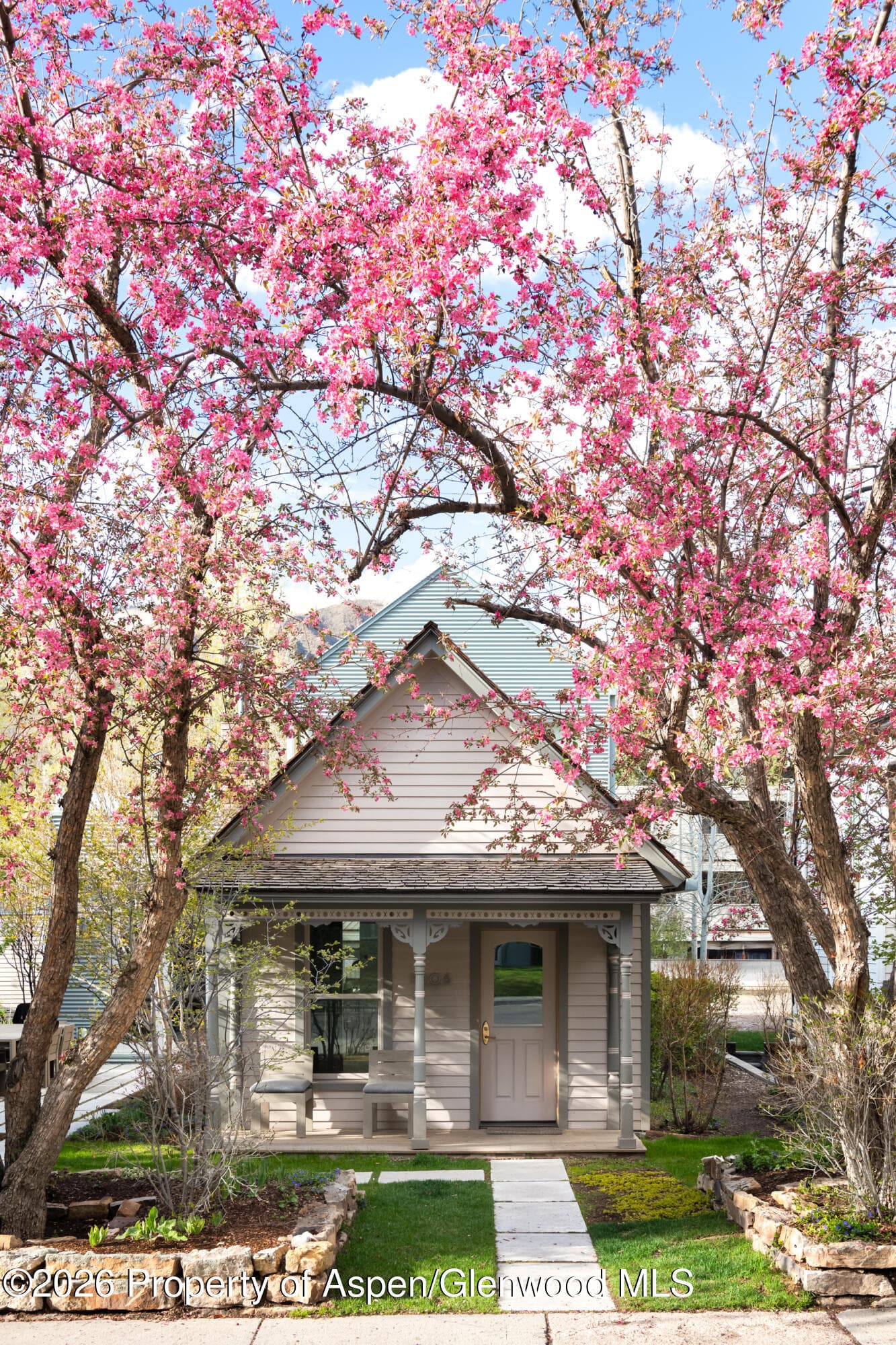 1006 E Cooper Avenue, Aspen, CO 81611