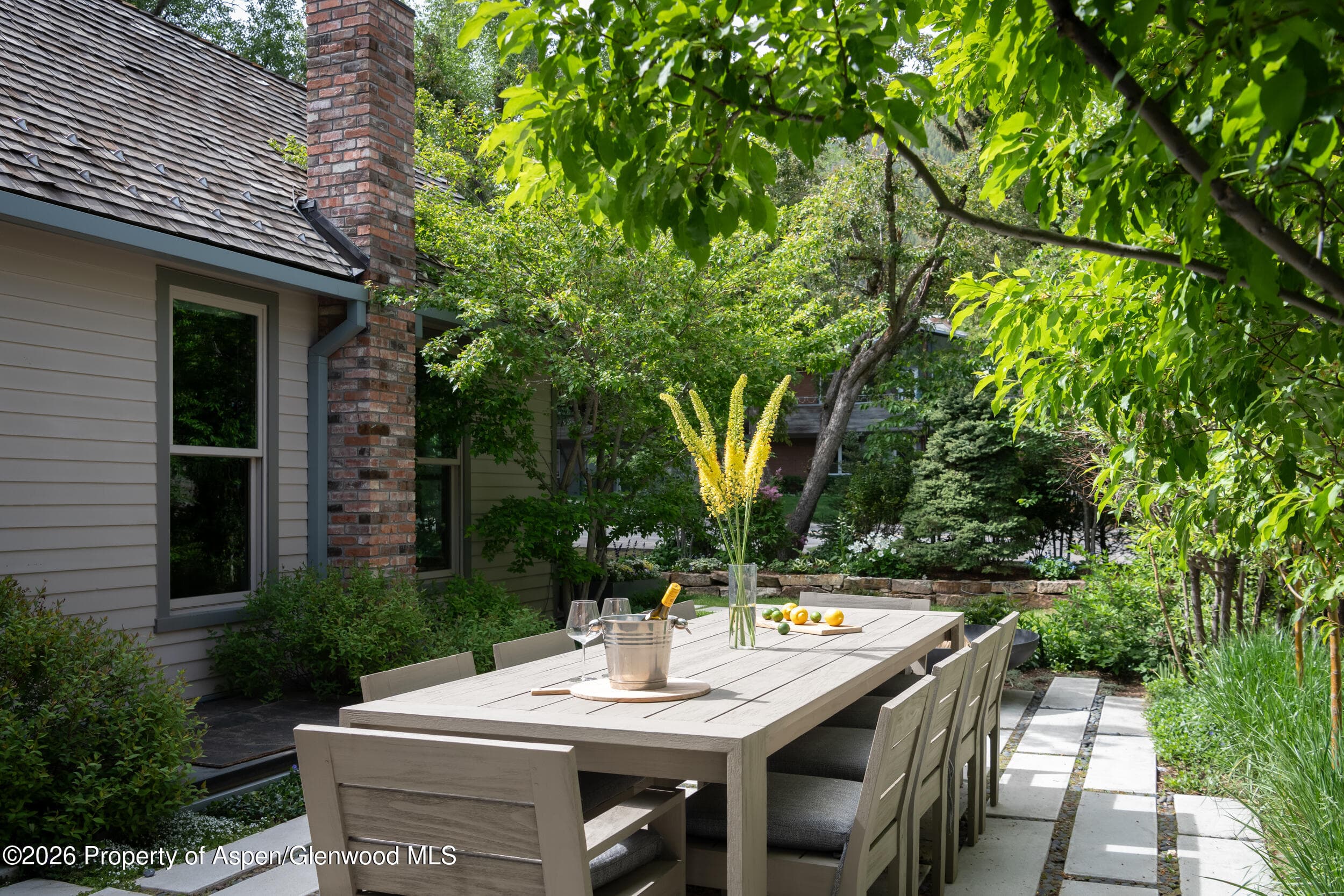 1006 E Cooper Avenue, Aspen, CO 81611 - Photo 6