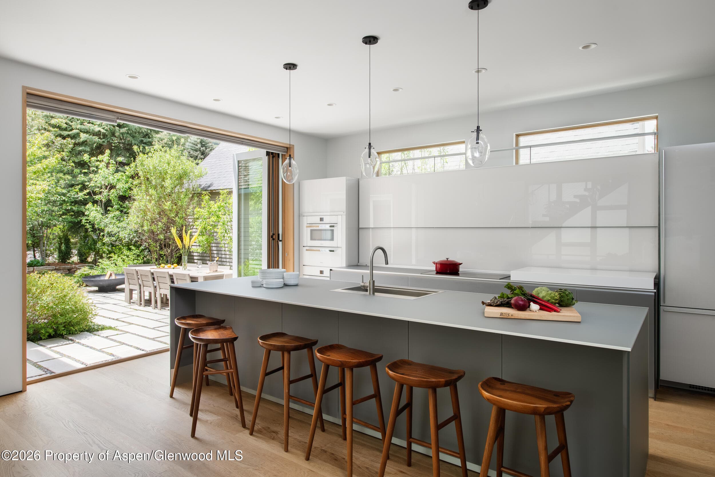 1006 E Cooper Avenue, Aspen, CO 81611 - Photo 9