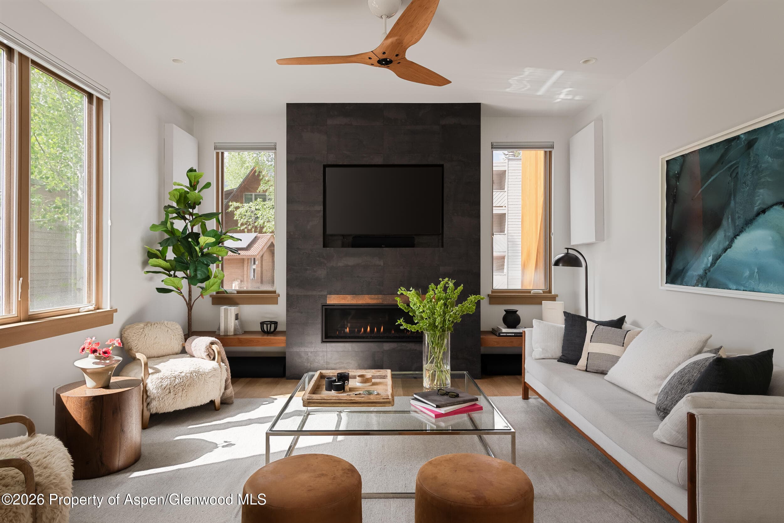 1006 E Cooper Avenue, Aspen, CO 81611 - Photo 13