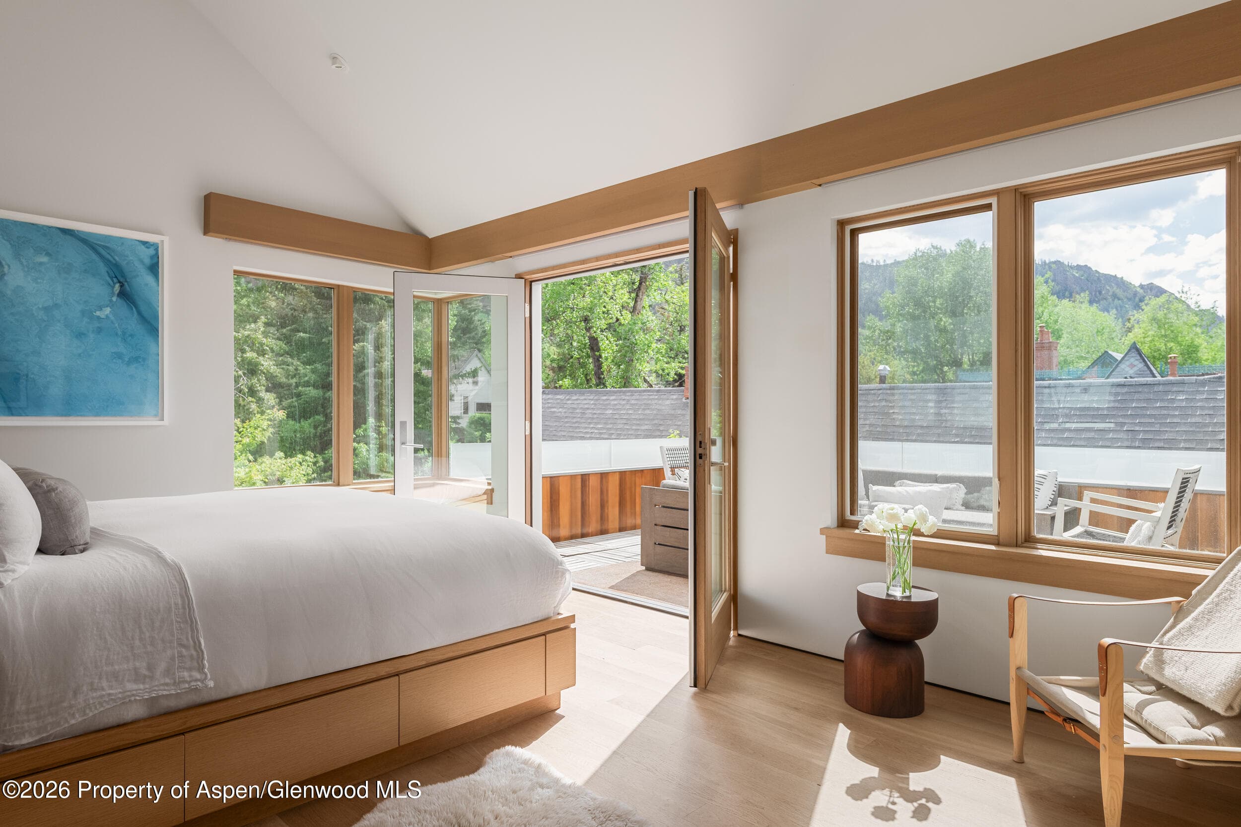 1006 E Cooper Avenue, Aspen, CO 81611 - Photo 20