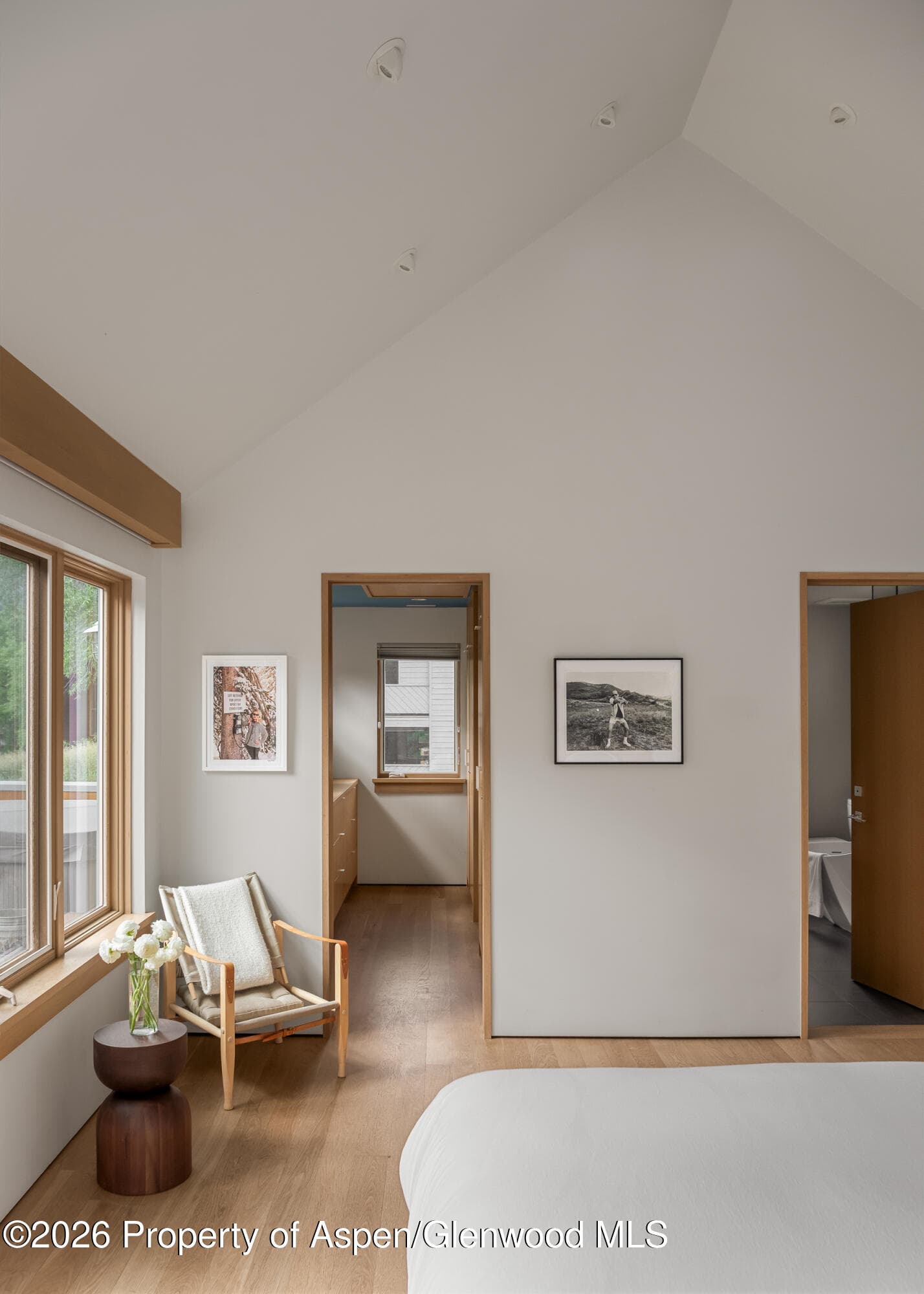 1006 E Cooper Avenue, Aspen, CO 81611 - Photo 24