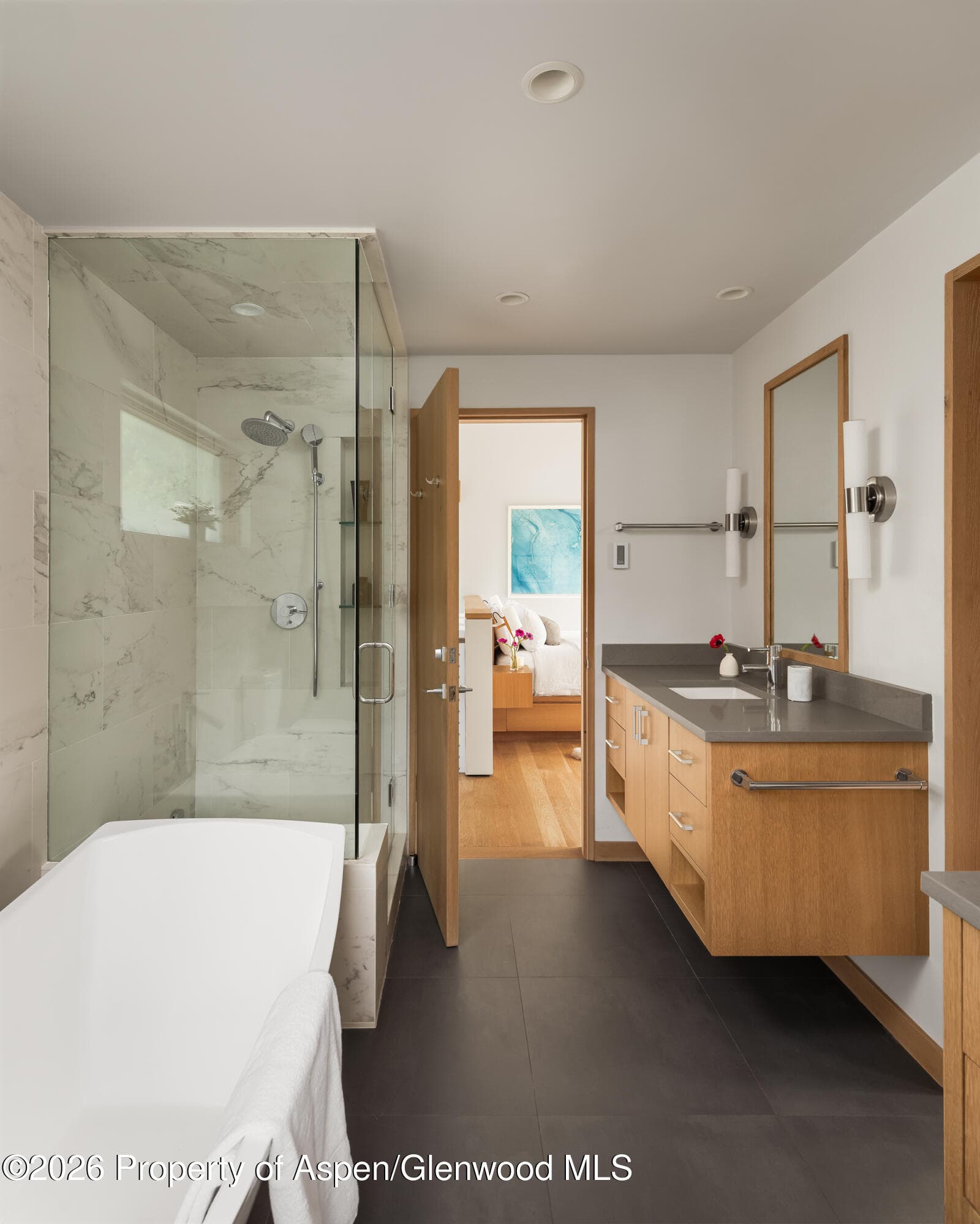 1006 E Cooper Avenue, Aspen, CO 81611 - Photo 26