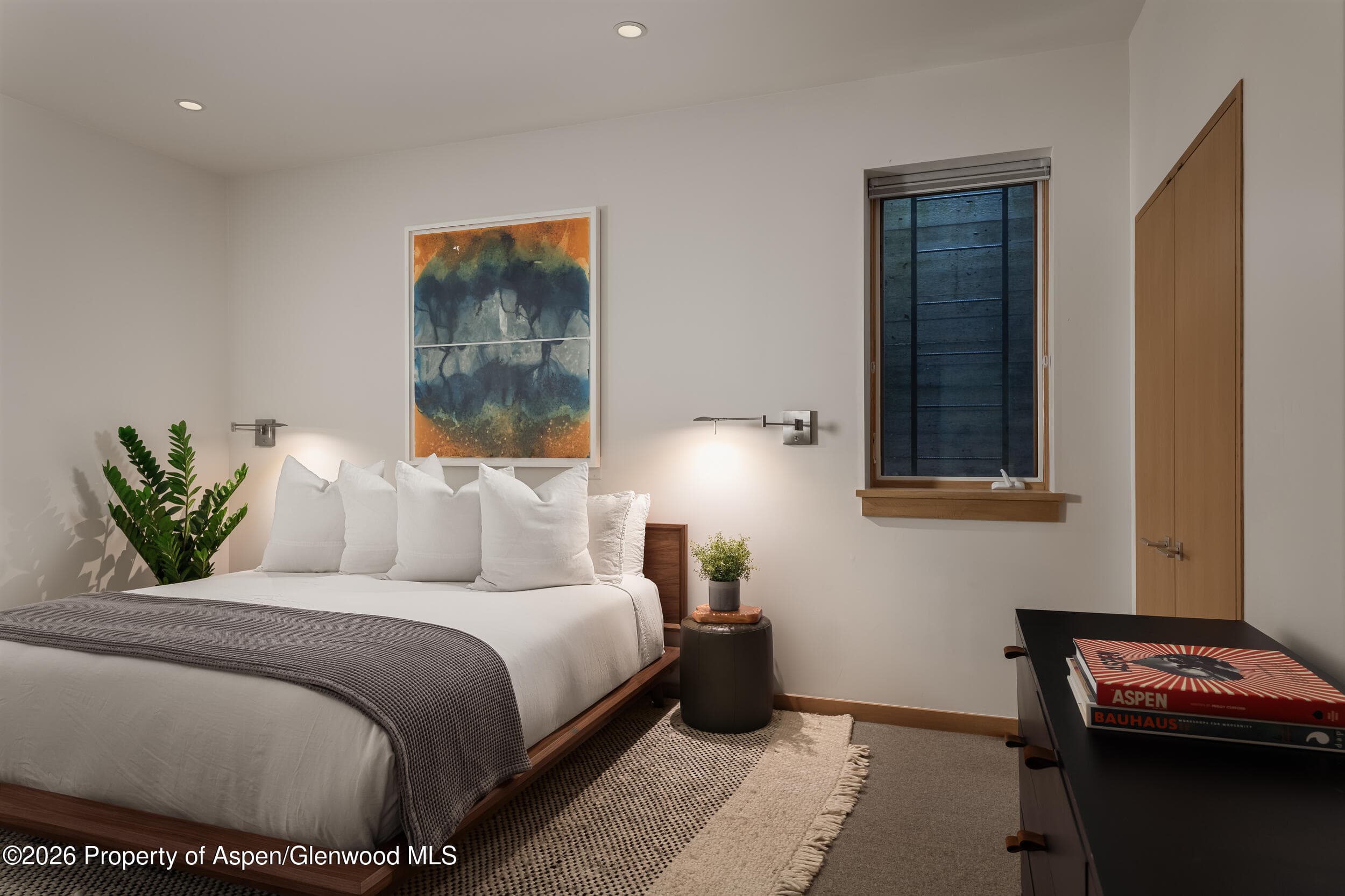1006 E Cooper Avenue, Aspen, CO 81611 - Photo 36