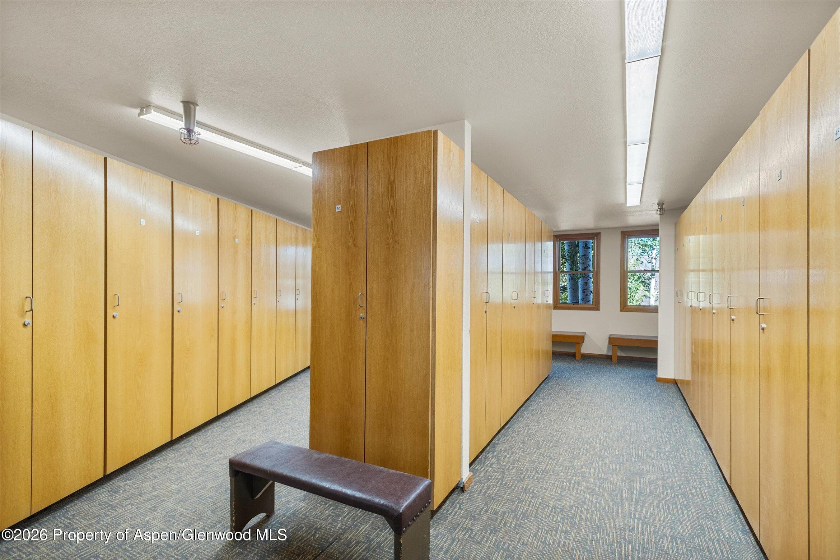 425 Wood Road 2, Snowmass Village, CO 81615 - Photo 19