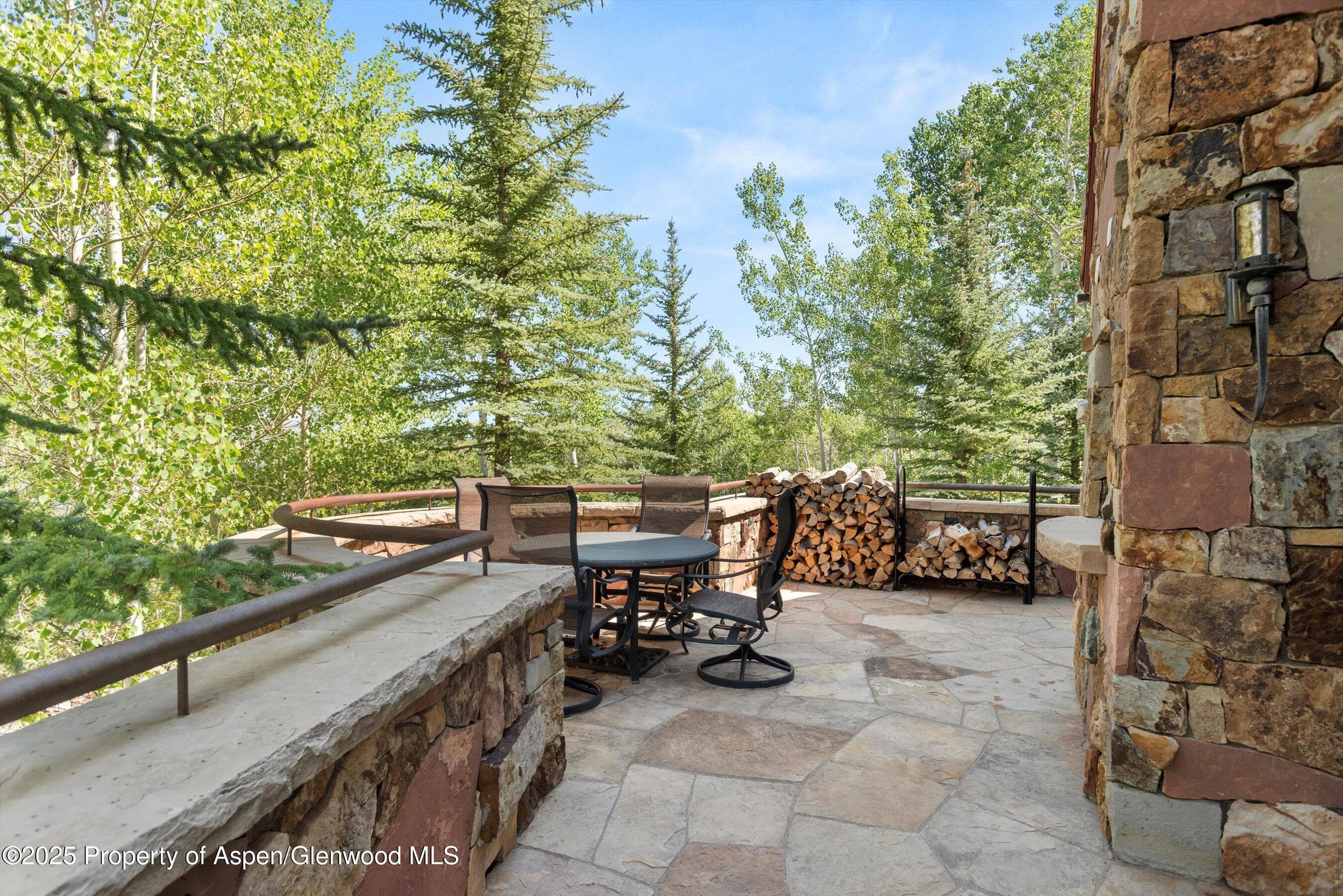 824 Pine Crest Lane, Snowmass Village, CO 81615 - Photo 11