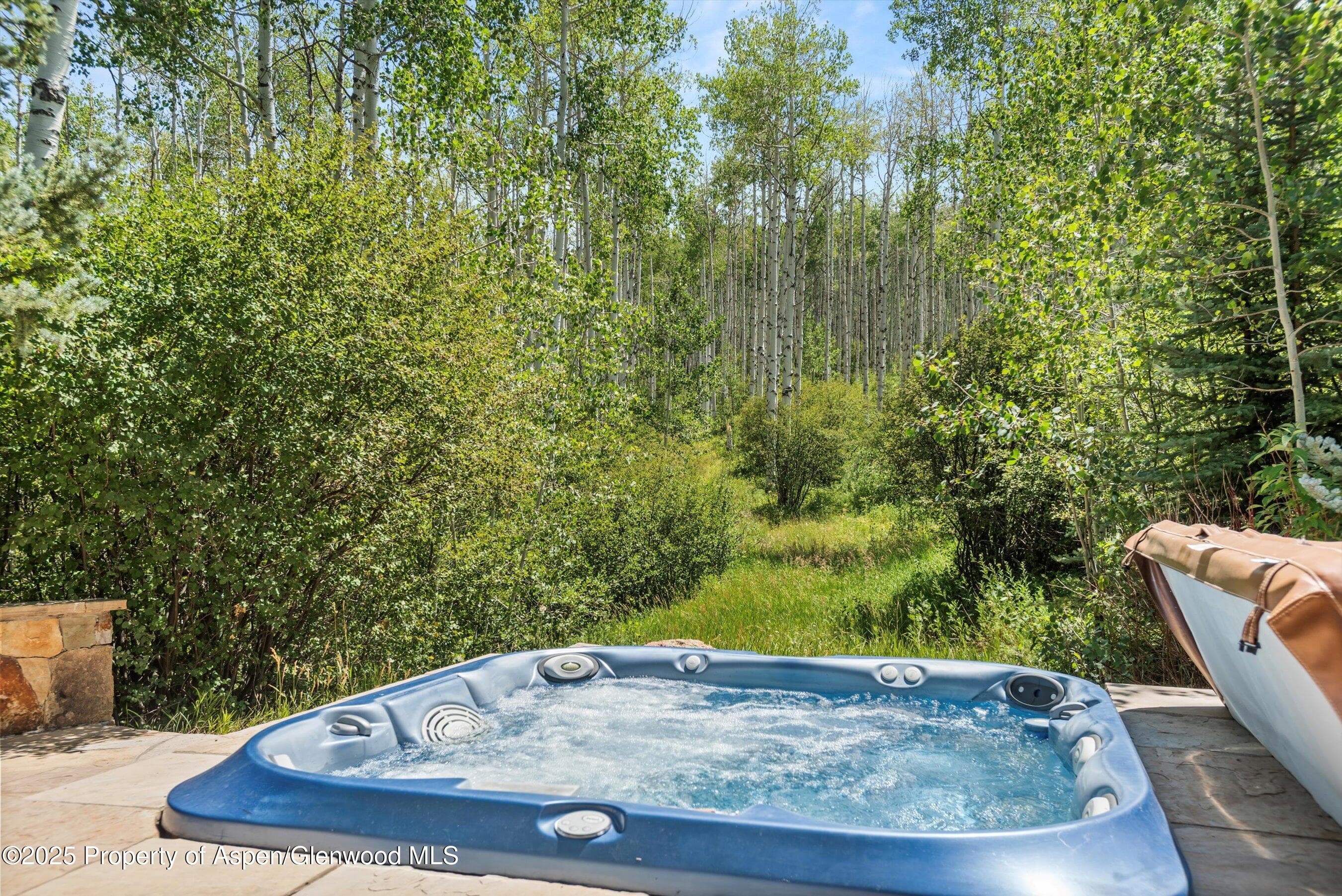 824 Pine Crest Lane, Snowmass Village, CO 81615 - Photo 33