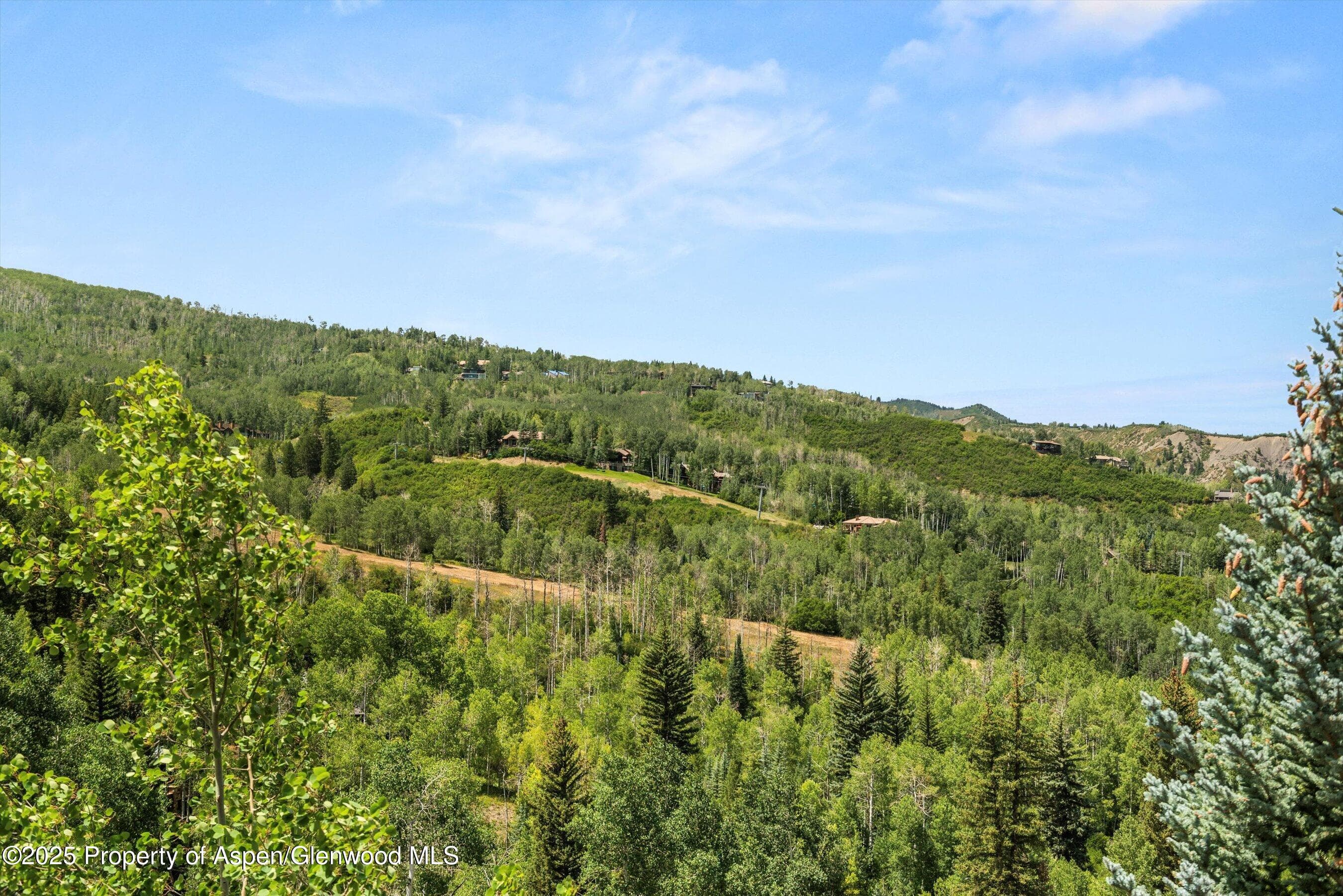 824 Pine Crest Lane, Snowmass Village, CO 81615 - Photo 36