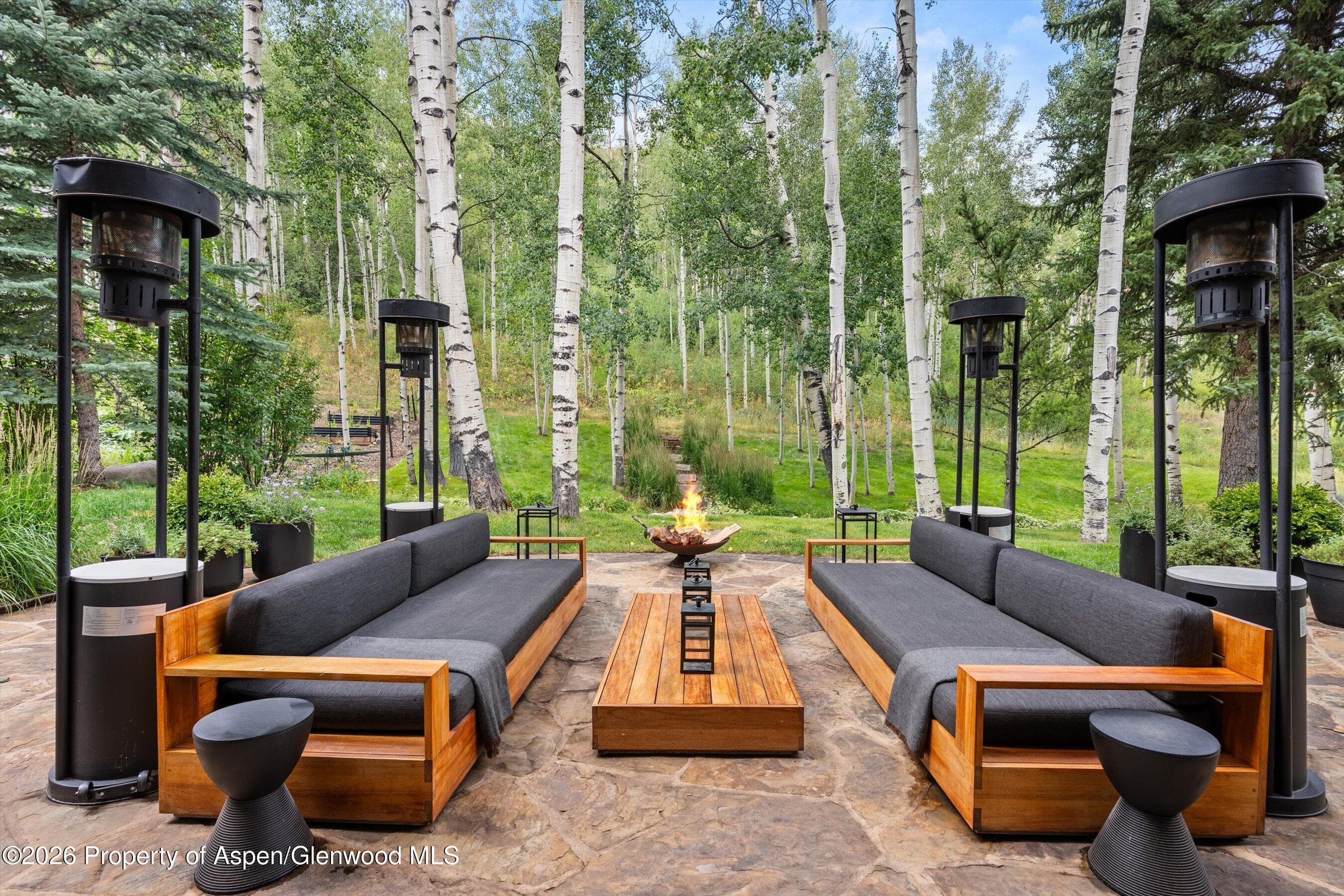 115 Blue Spruce Lane, Snowmass Village, CO 81615 - Photo 7