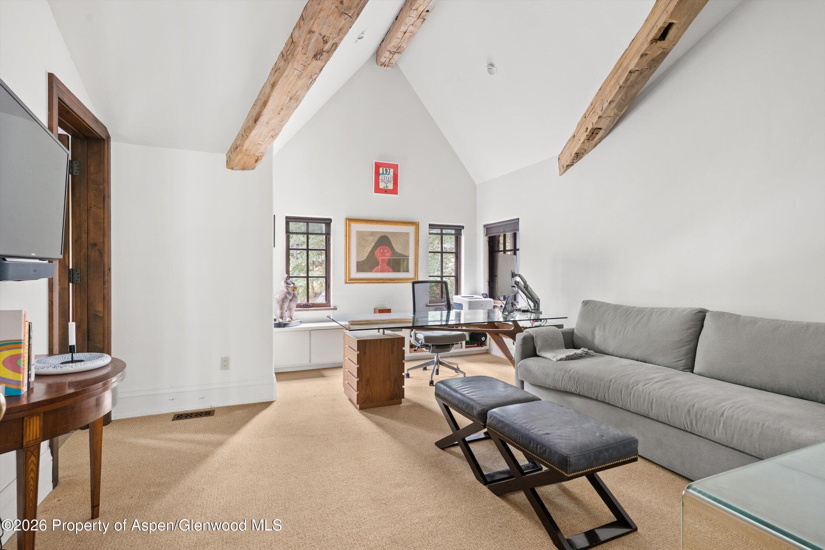 115 Blue Spruce Lane, Snowmass Village, CO 81615 - Photo 25