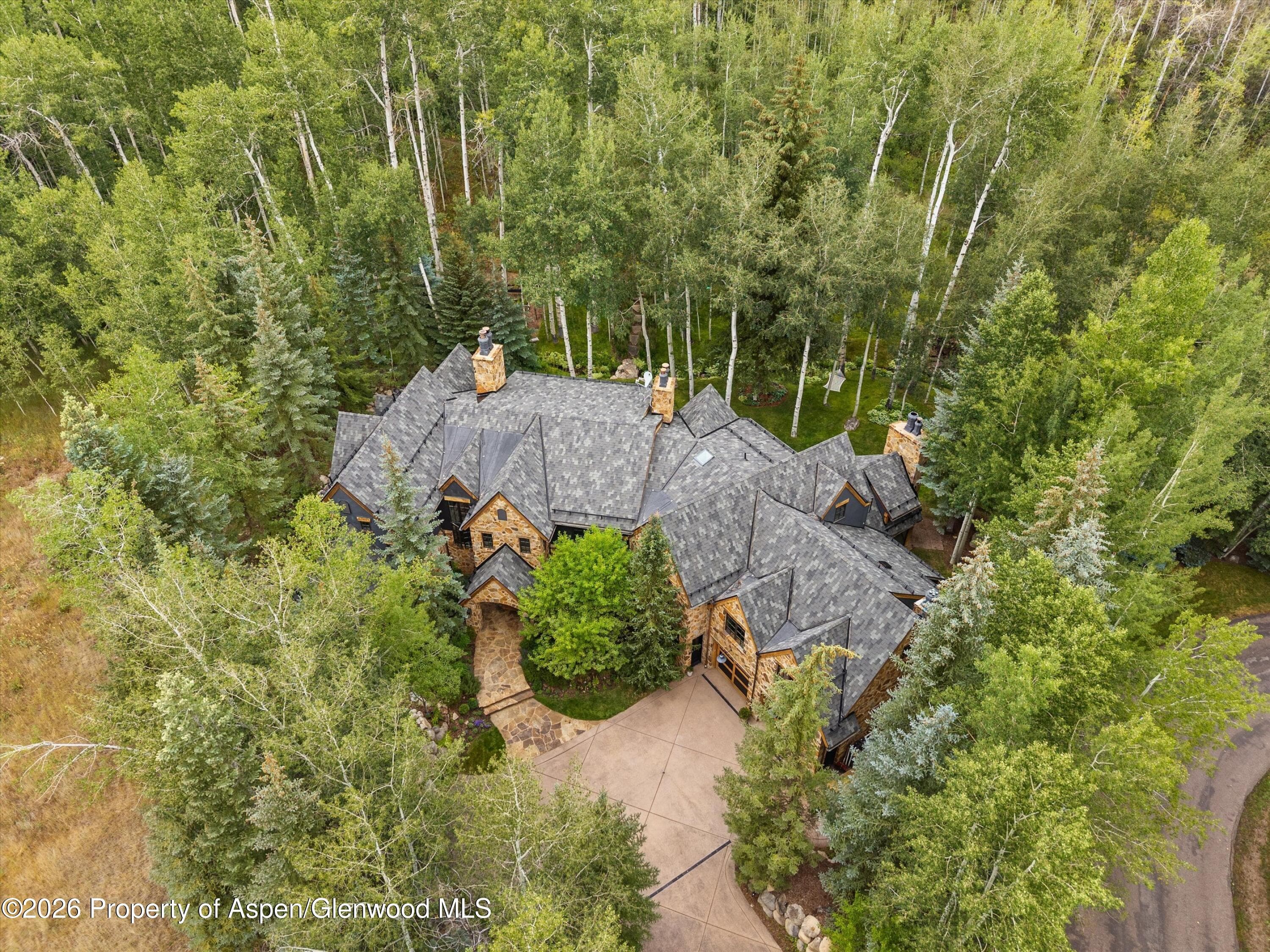 115 Blue Spruce Lane, Snowmass Village, CO 81615 - Photo 33