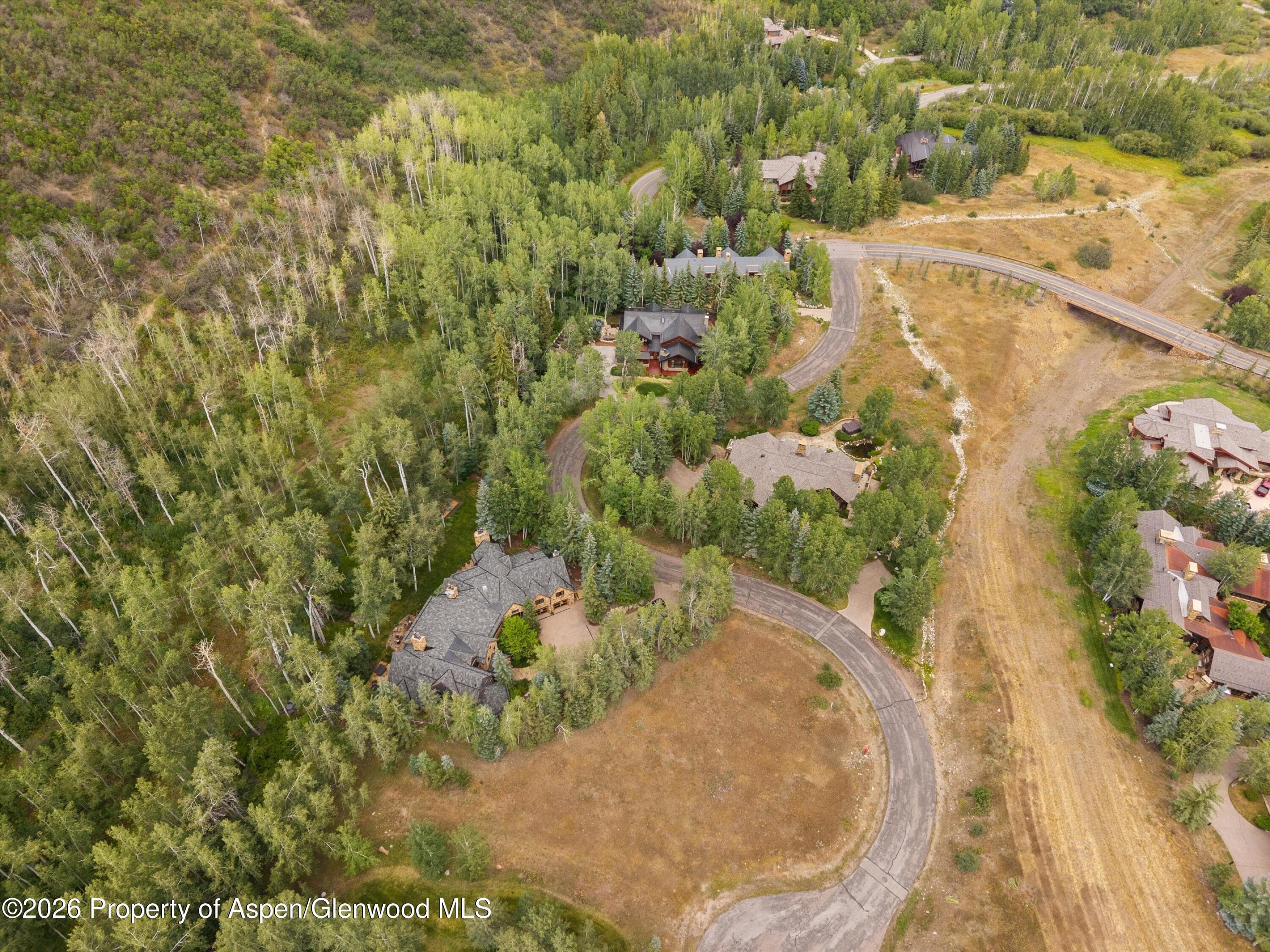 115 Blue Spruce Lane, Snowmass Village, CO 81615 - Photo 34