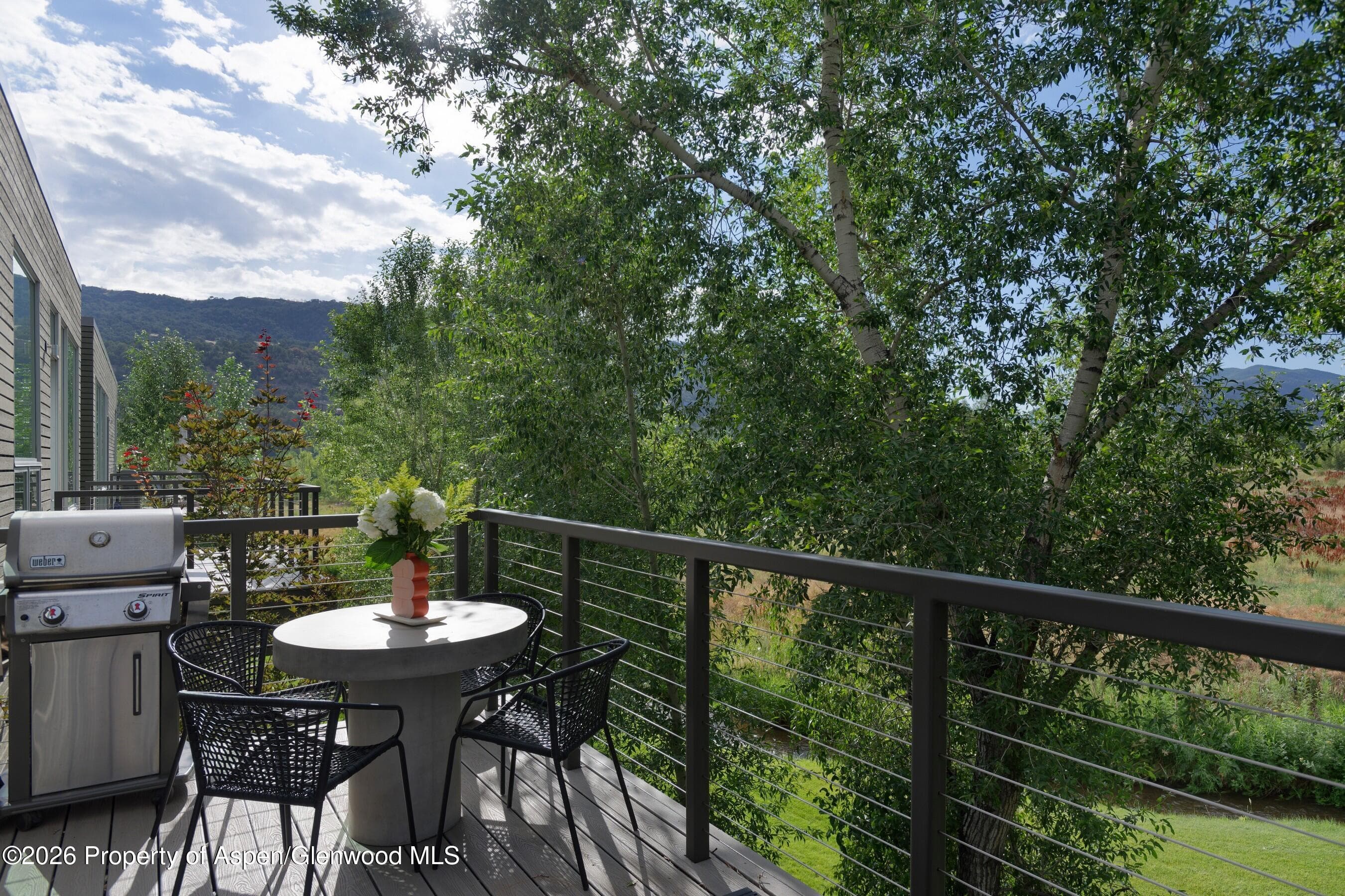 104 Evans Road 207, Basalt, CO 81621 - Photo 10