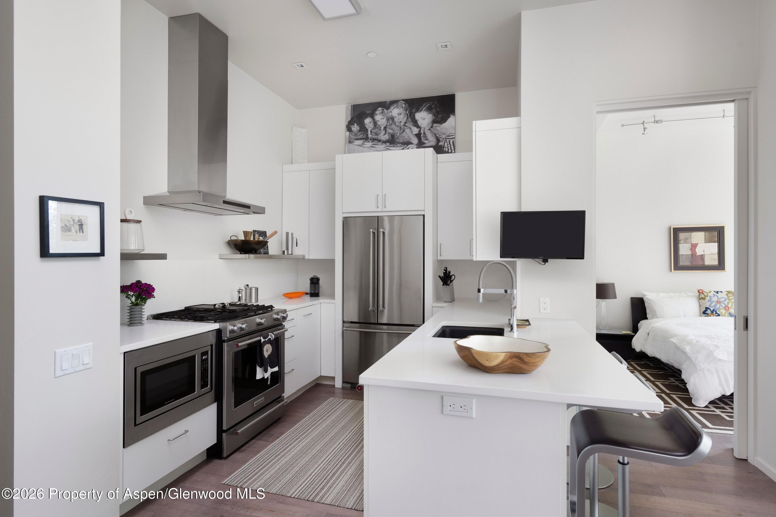 104 Evans Road 207, Basalt, CO 81621 - Photo 4