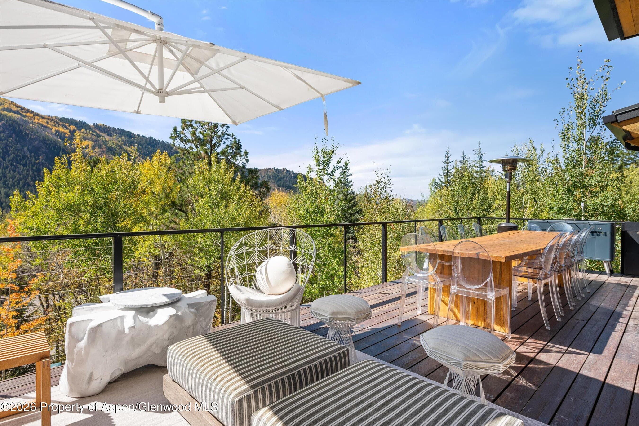 546 Mcskimming Road, Aspen, CO 81611 - Photo 13