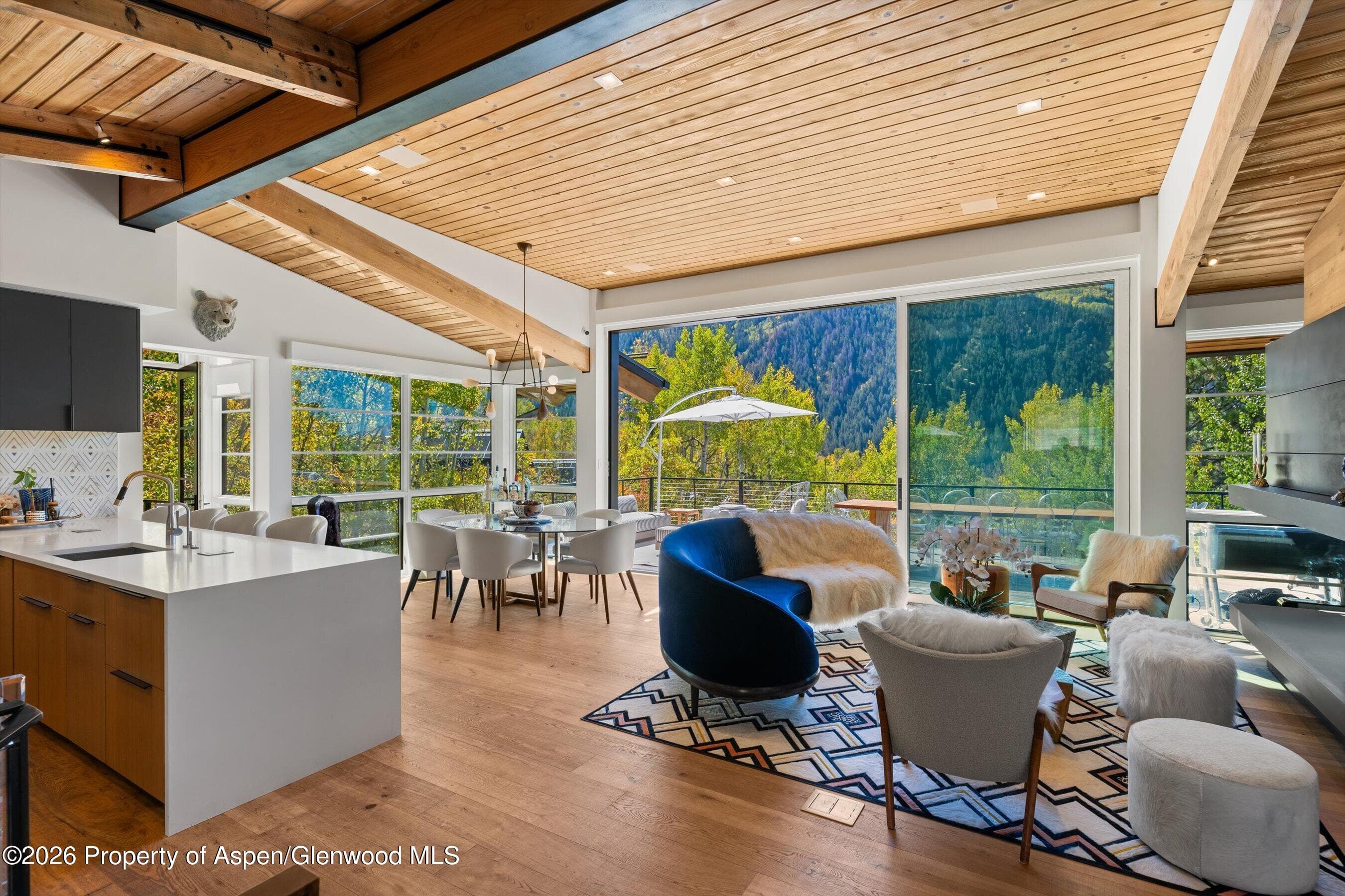 546 Mcskimming Road, Aspen, CO 81611 - Photo 4