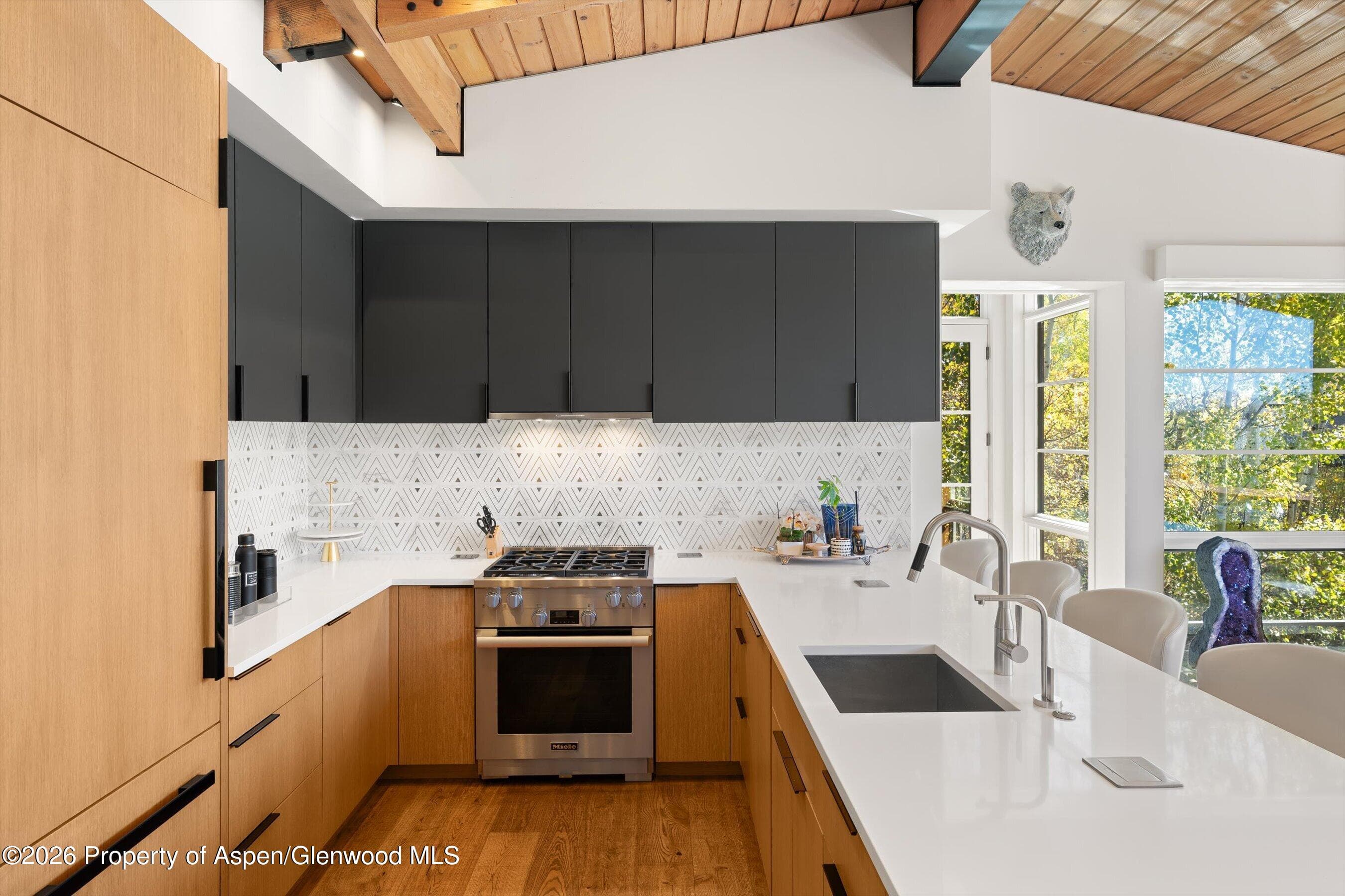 546 Mcskimming Road, Aspen, CO 81611 - Photo 8