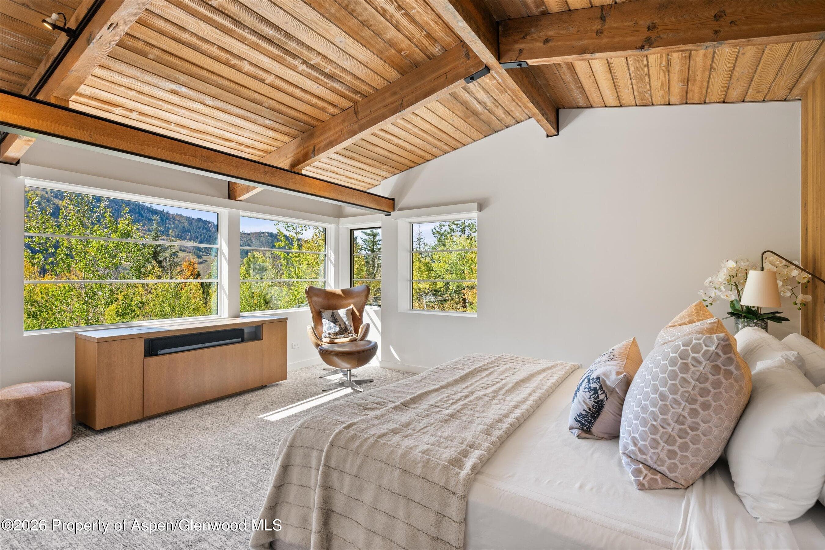 546 Mcskimming Road, Aspen, CO 81611 - Photo 14