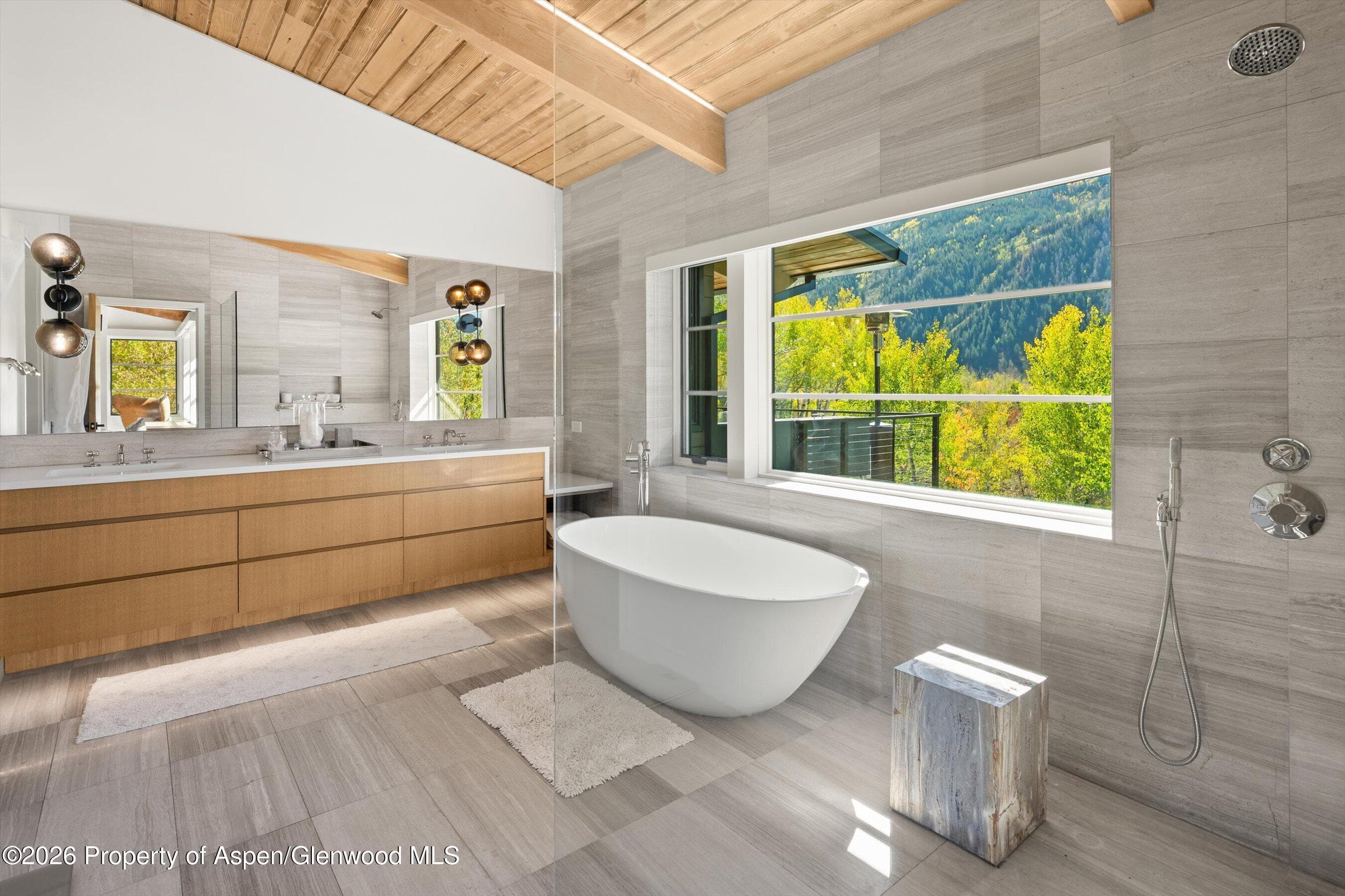 546 Mcskimming Road, Aspen, CO 81611 - Photo 15