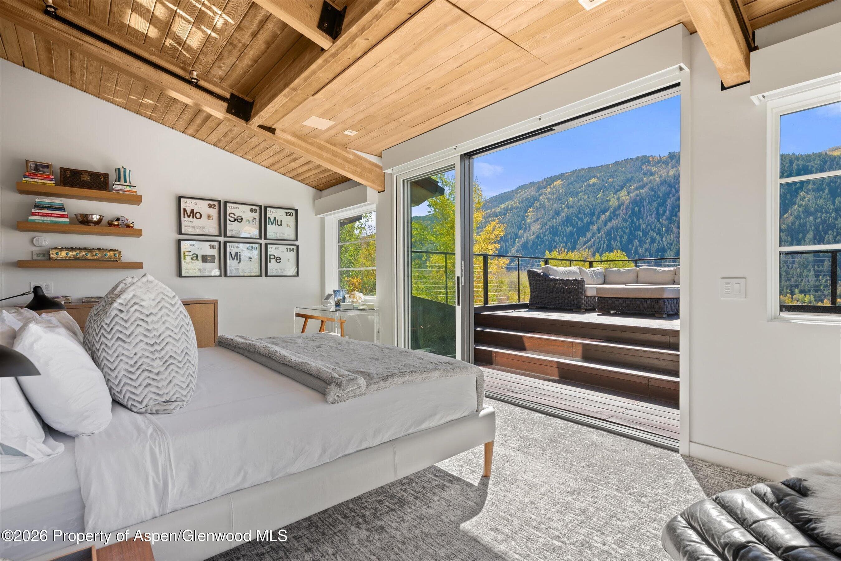 546 Mcskimming Road, Aspen, CO 81611 - Photo 17