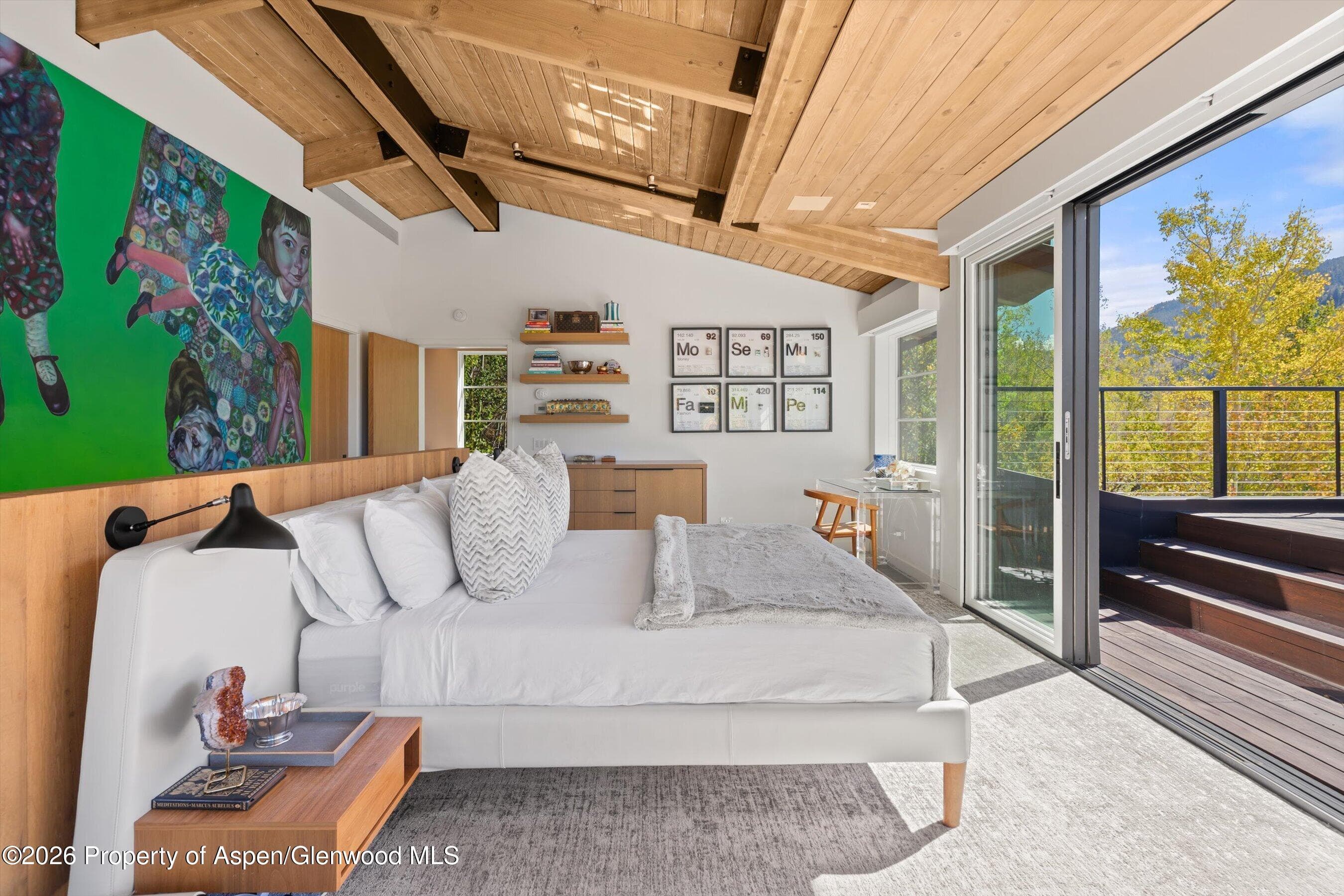 546 Mcskimming Road, Aspen, CO 81611 - Photo 18