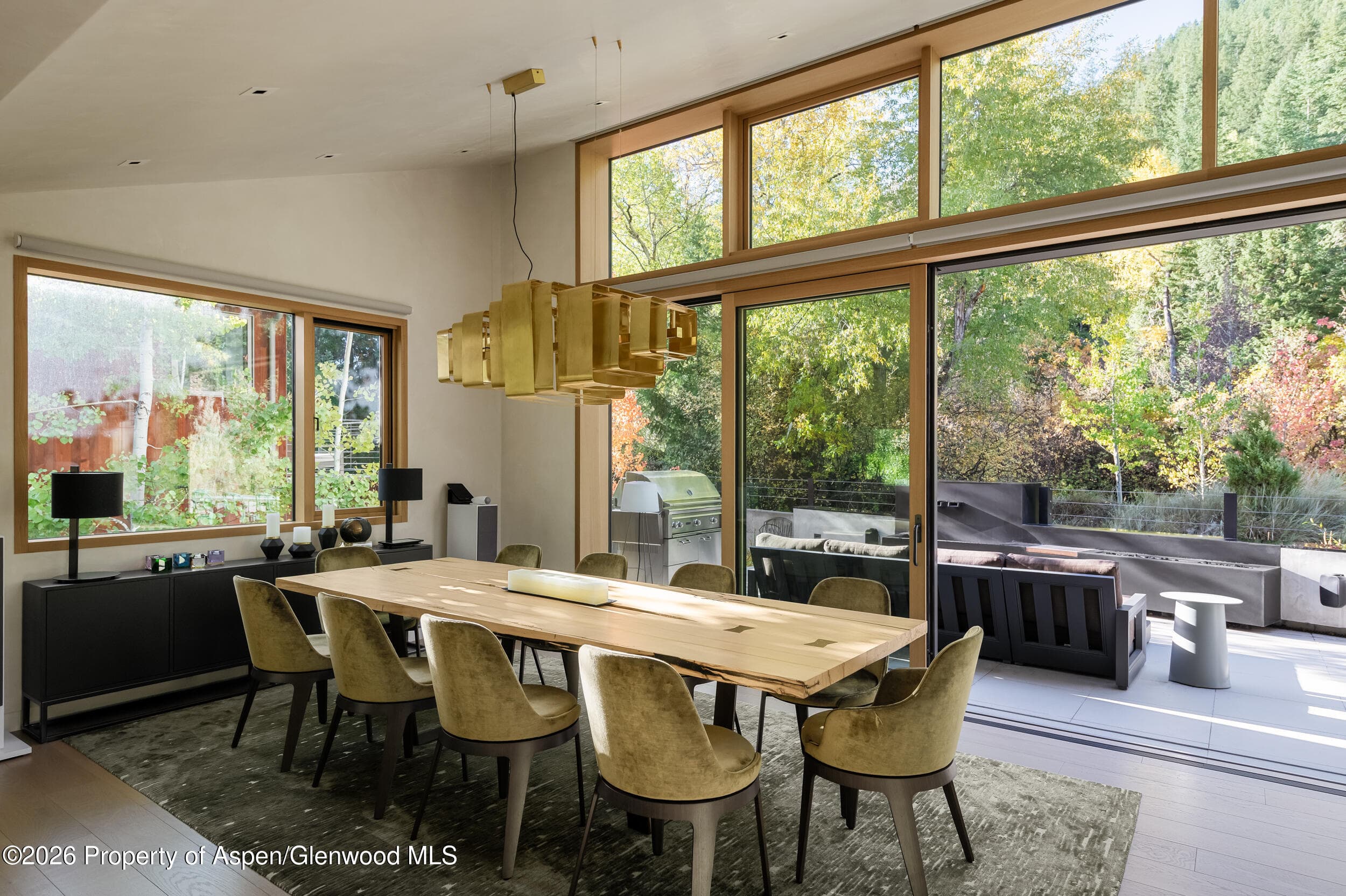 219 S Third Street, Aspen, CO 81611 - Photo 7