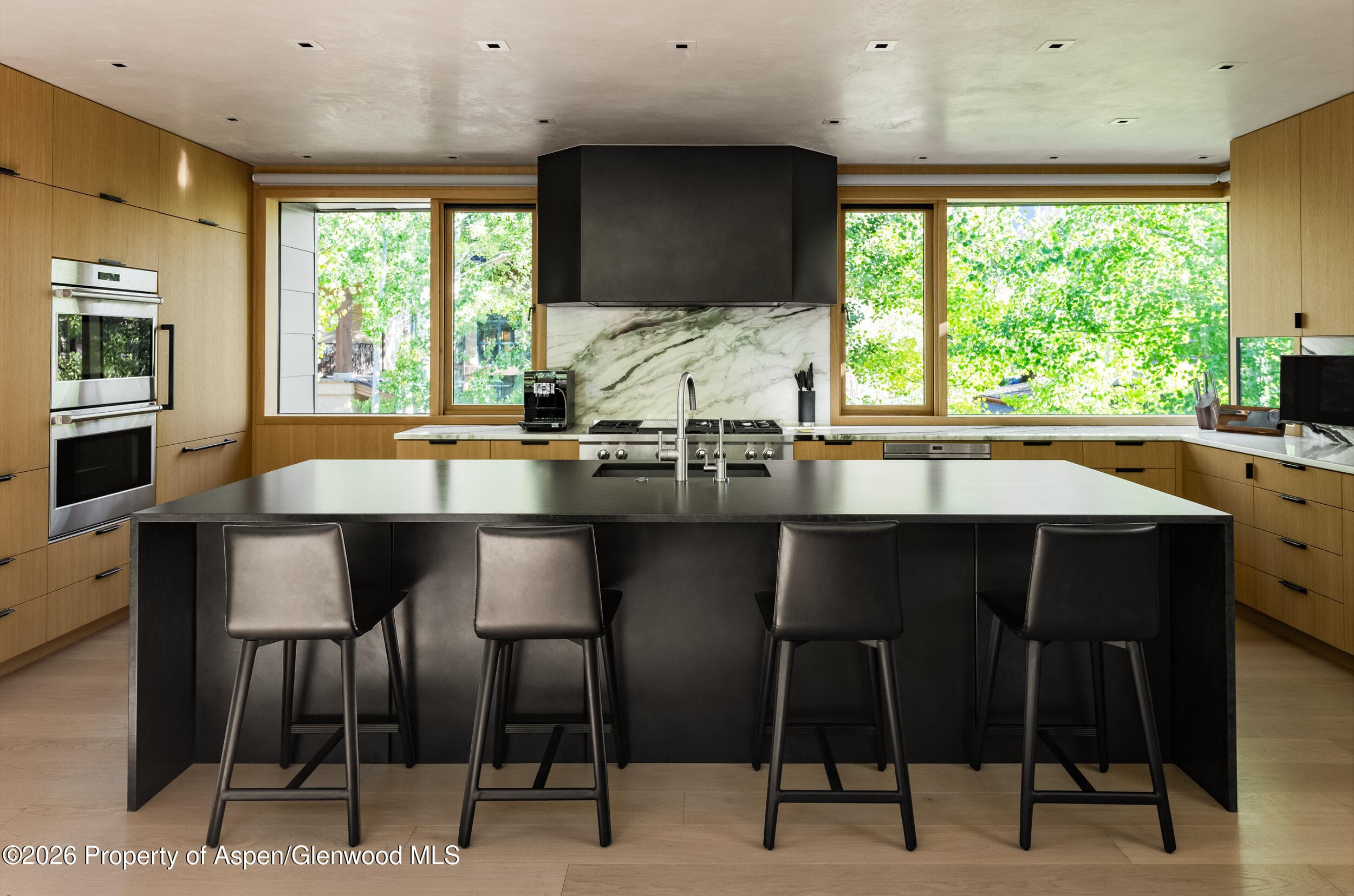 219 S Third Street, Aspen, CO 81611 - Photo 9