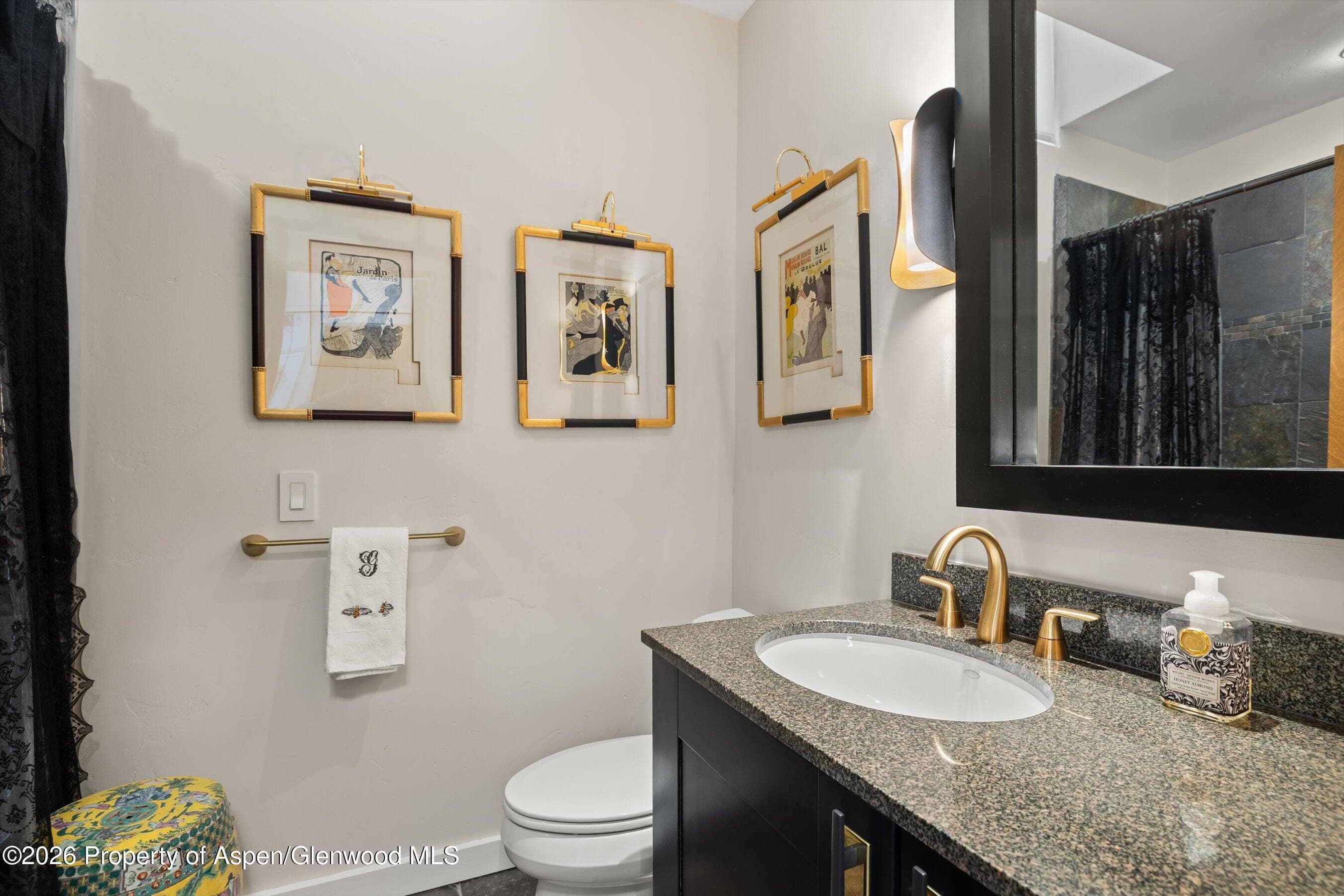 231 Robinson Street 240, Basalt, CO 81621 - Photo 9