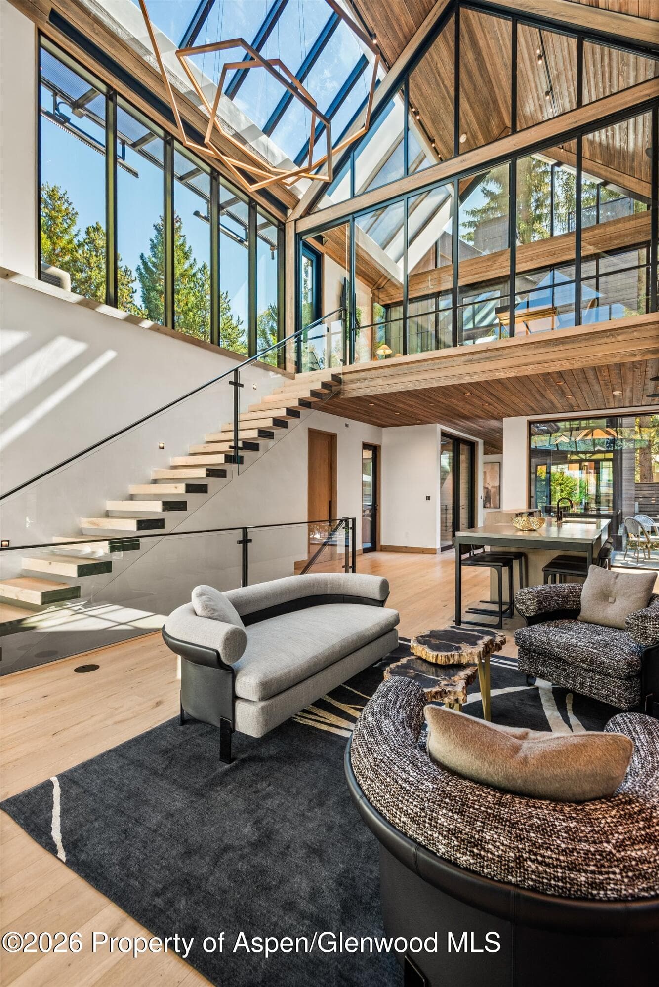 411 Pearl Court, Aspen, CO 81611 - Photo 5