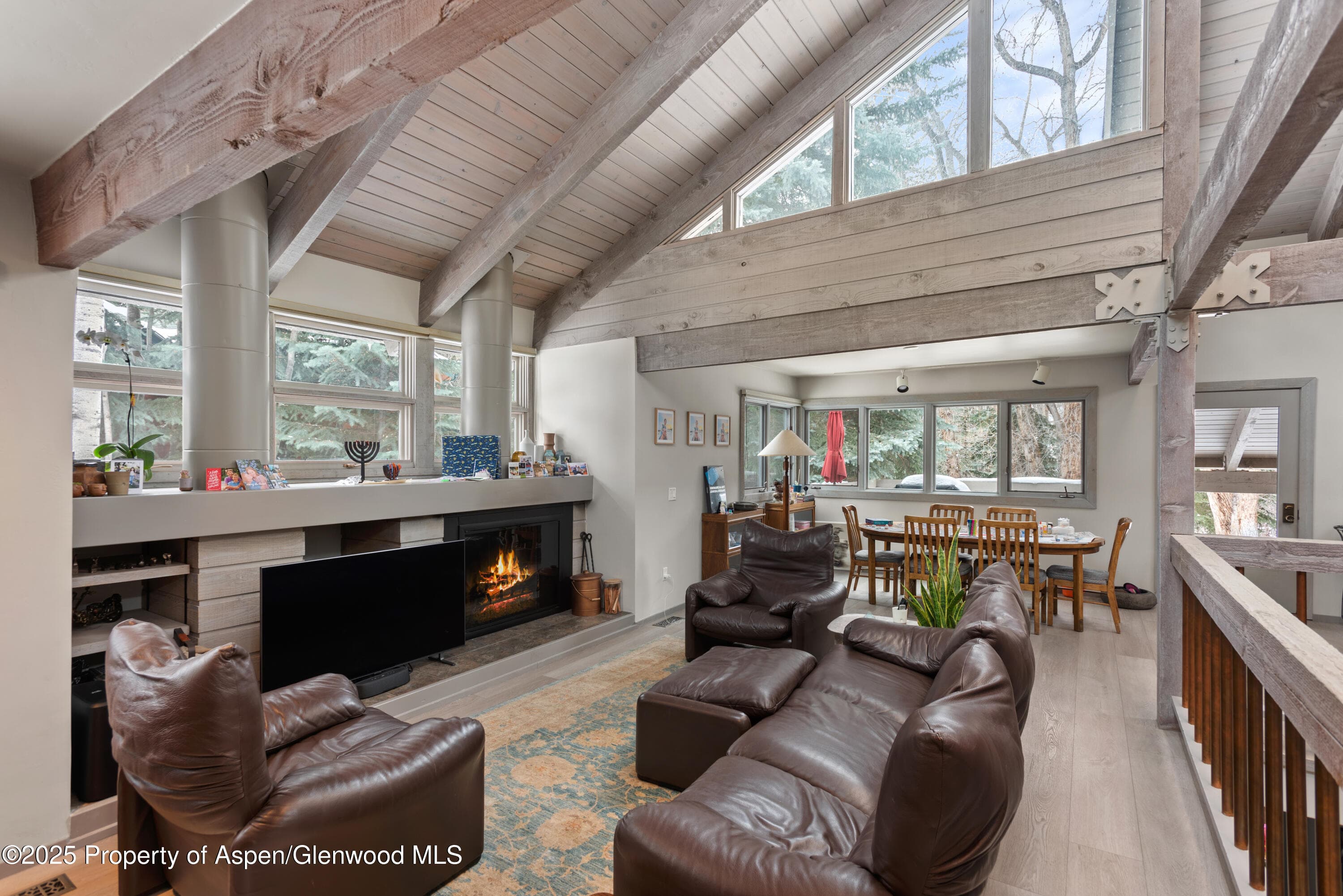 645 Sneaky Lane, Aspen, CO 81611 - Photo 11