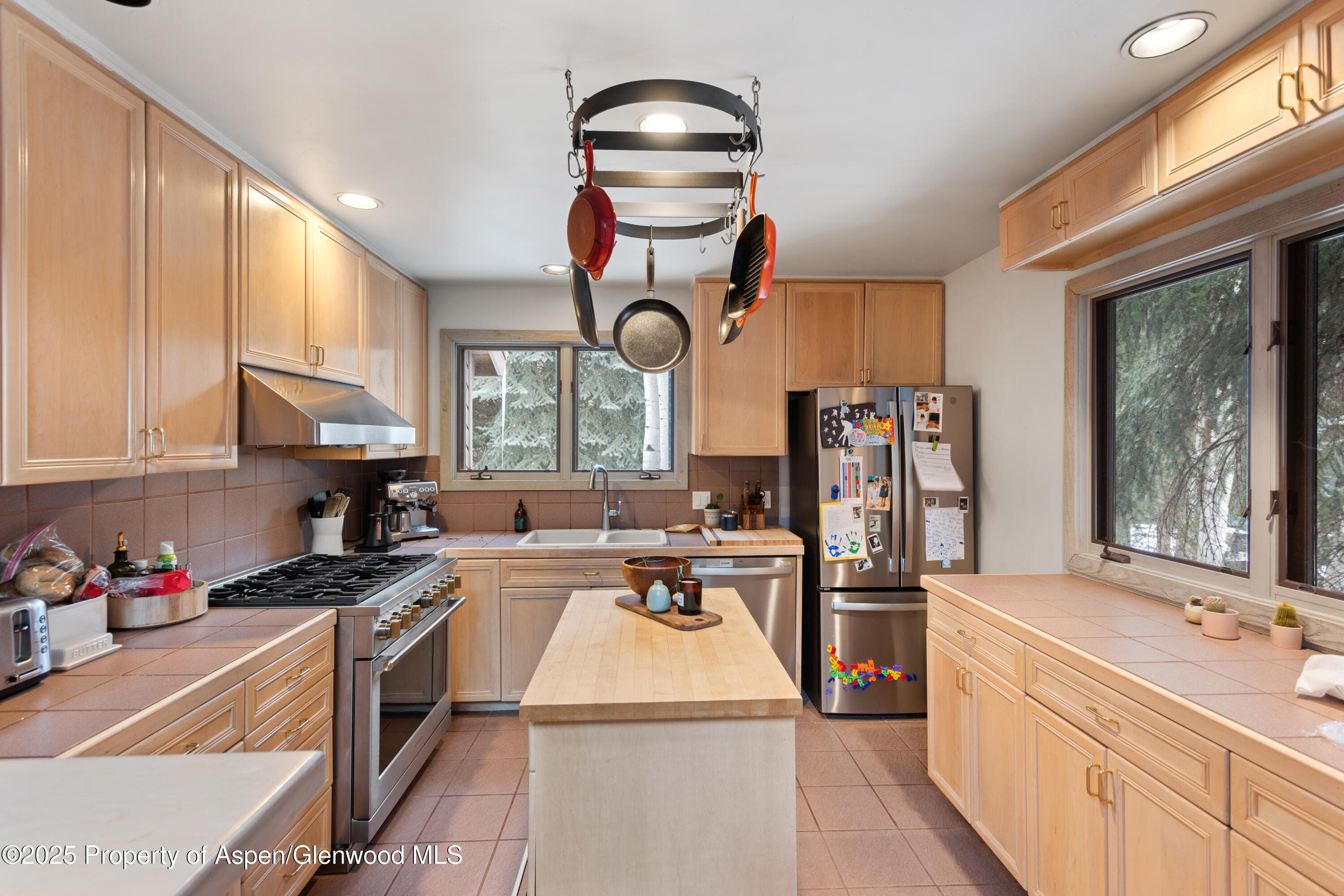 645 Sneaky Lane, Aspen, CO 81611 - Photo 17