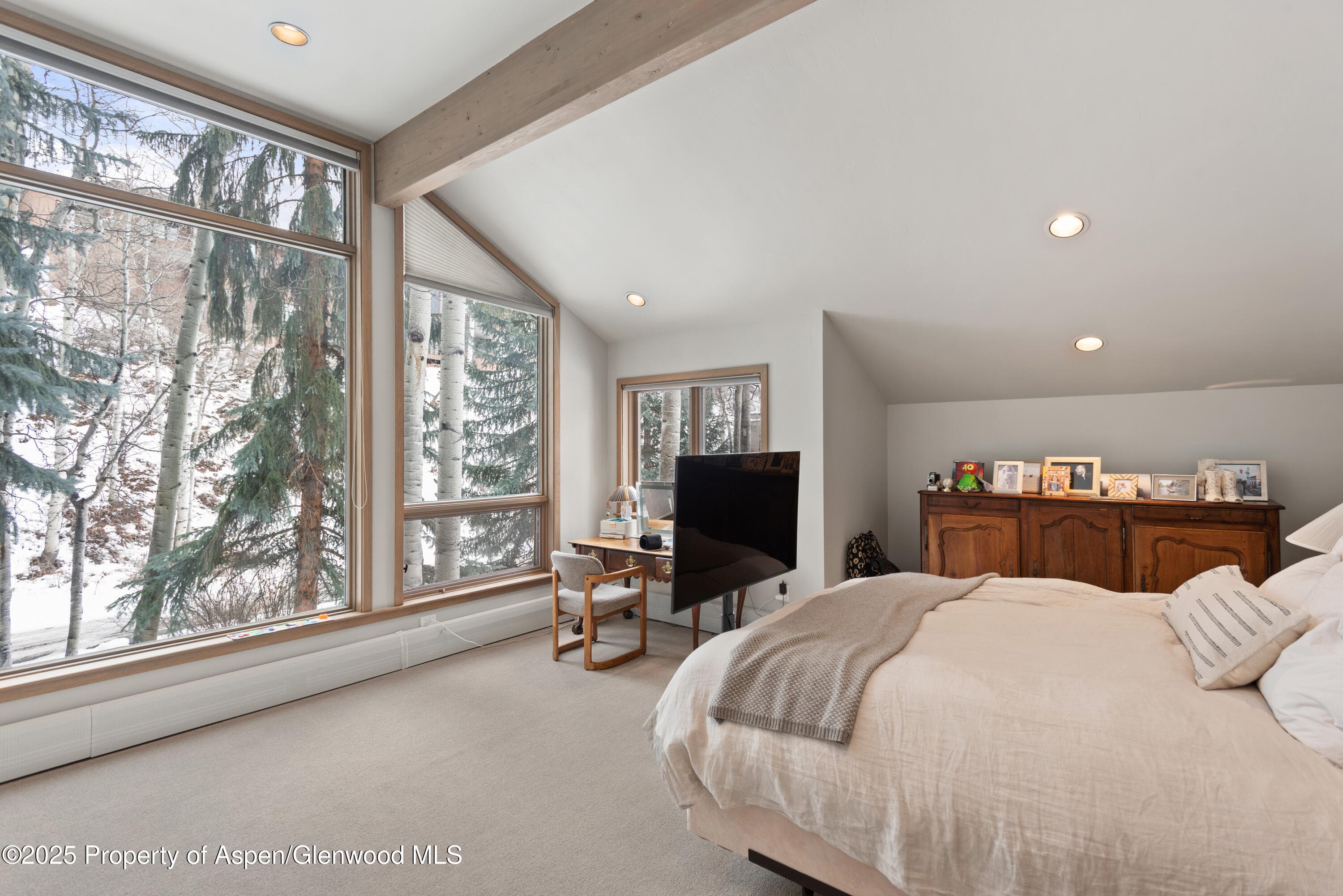 645 Sneaky Lane, Aspen, CO 81611 - Photo 18