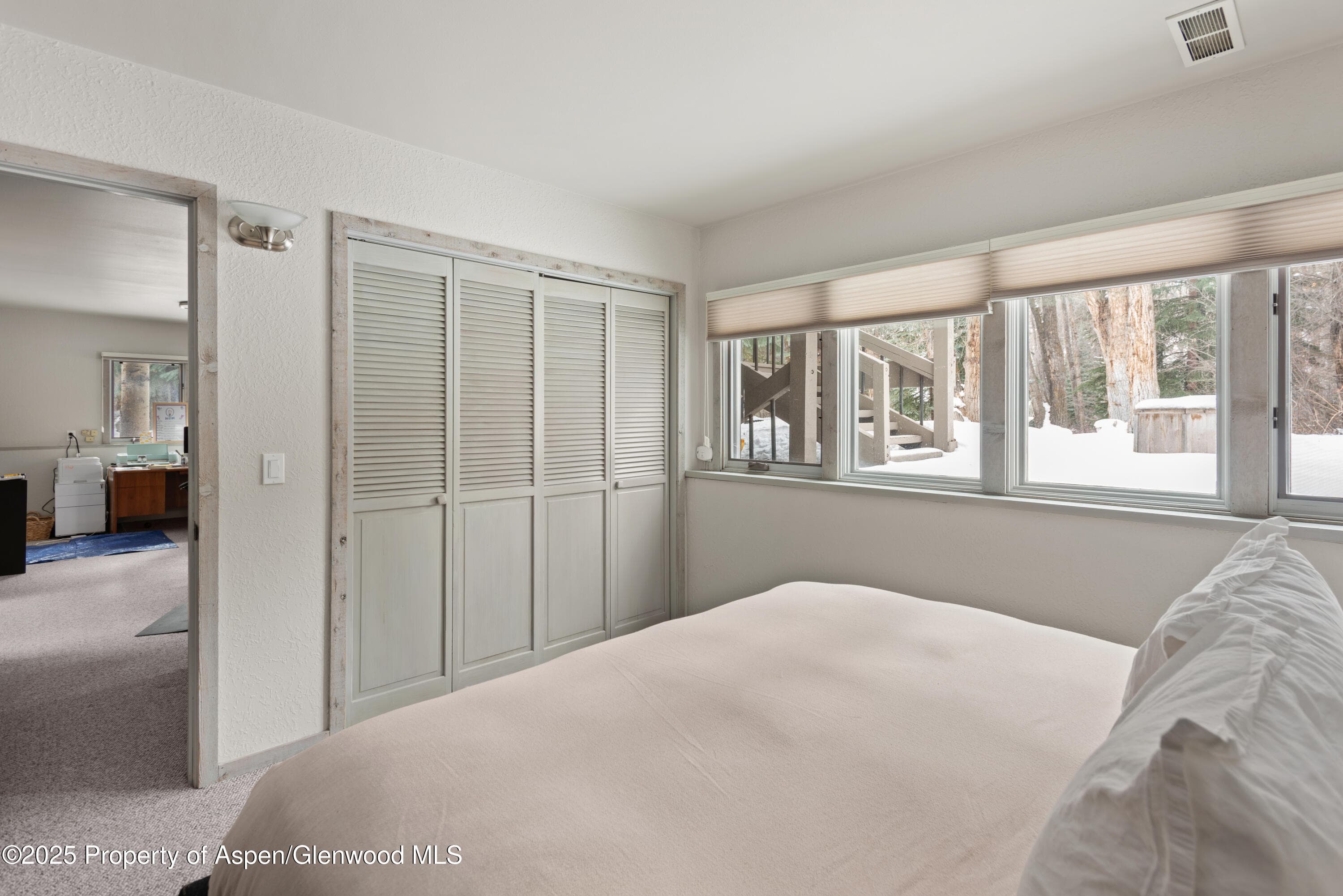 645 Sneaky Lane, Aspen, CO 81611 - Photo 20