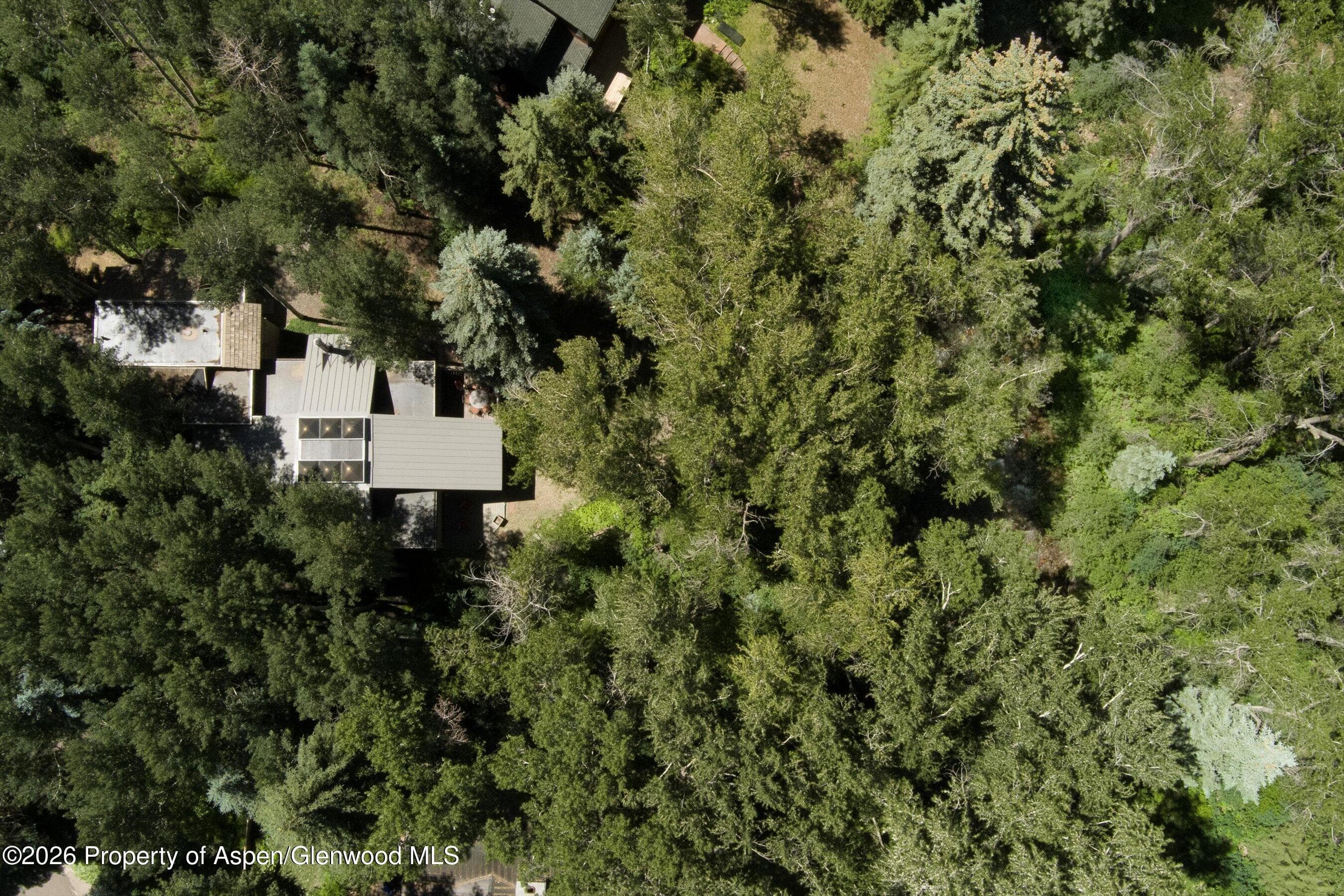 645 Sneaky Lane, Aspen, CO 81611 - Photo 22