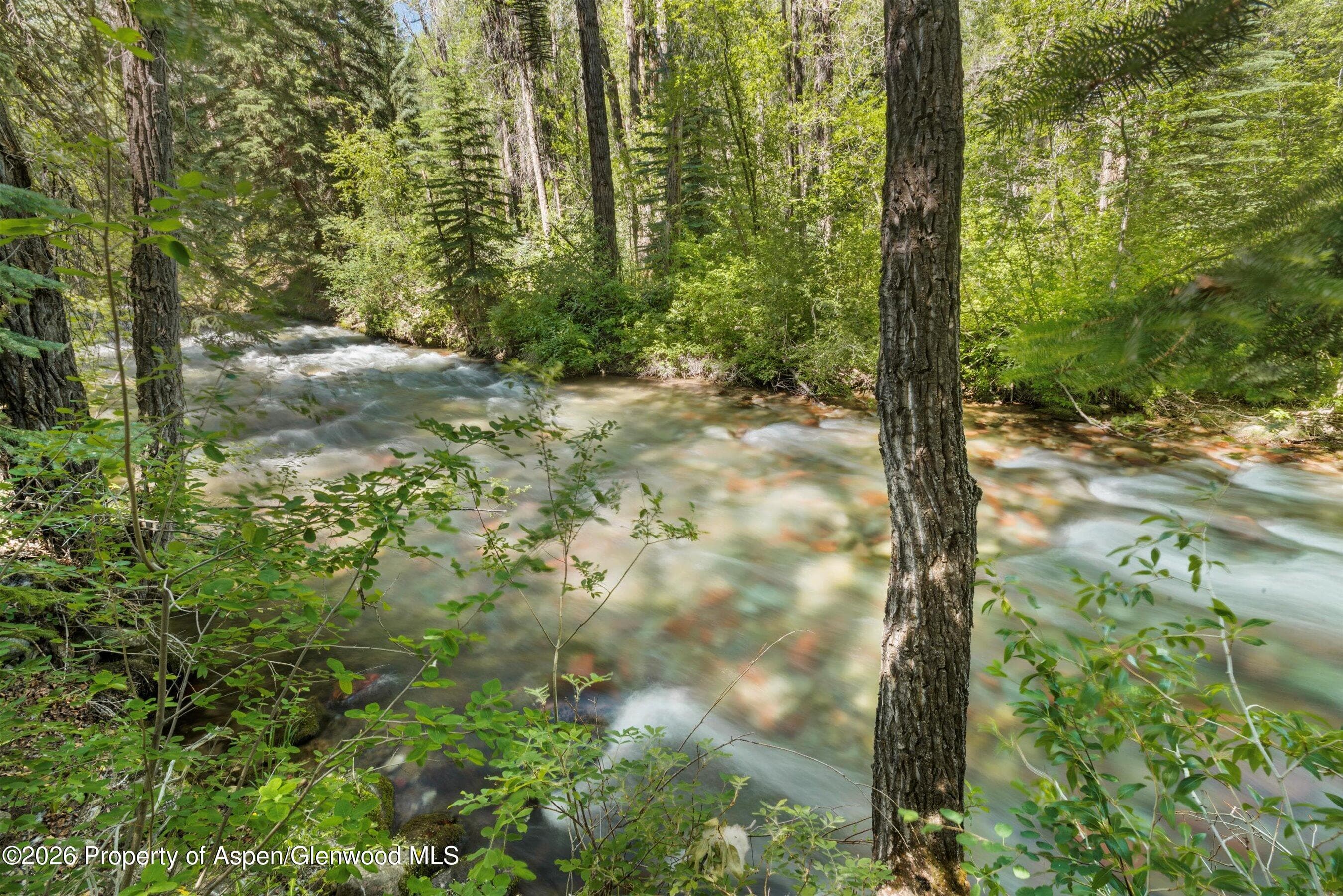 645 Sneaky Lane, Aspen, CO 81611 - Photo 24