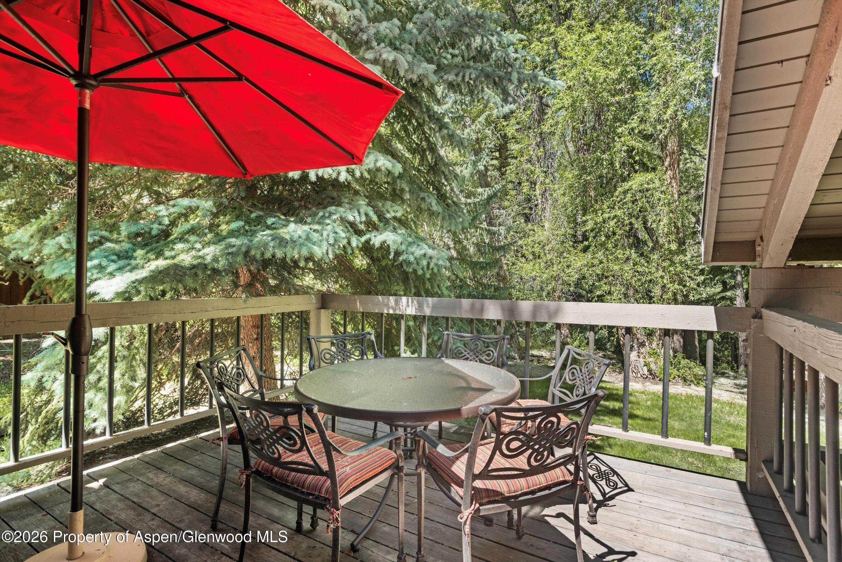 645 Sneaky Lane, Aspen, CO 81611 - Photo 10