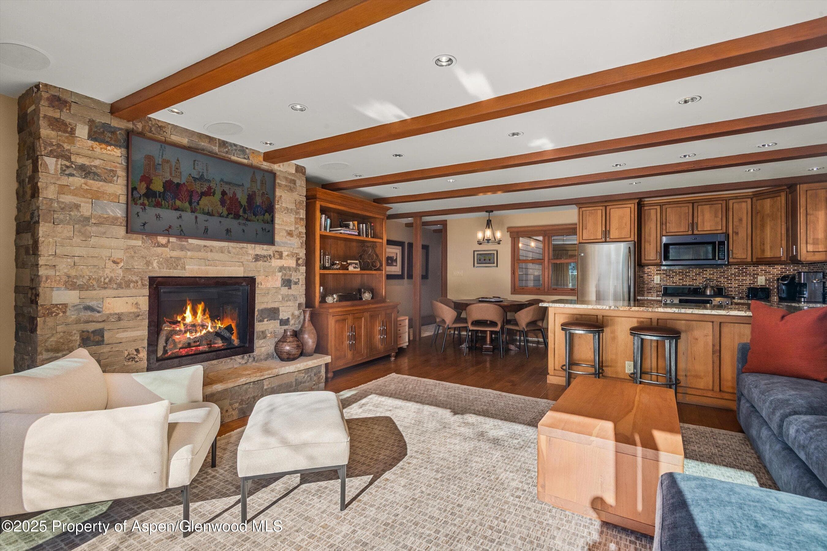 825 E Hopkins Avenue 2s, Aspen, CO 81611 - Photo 4