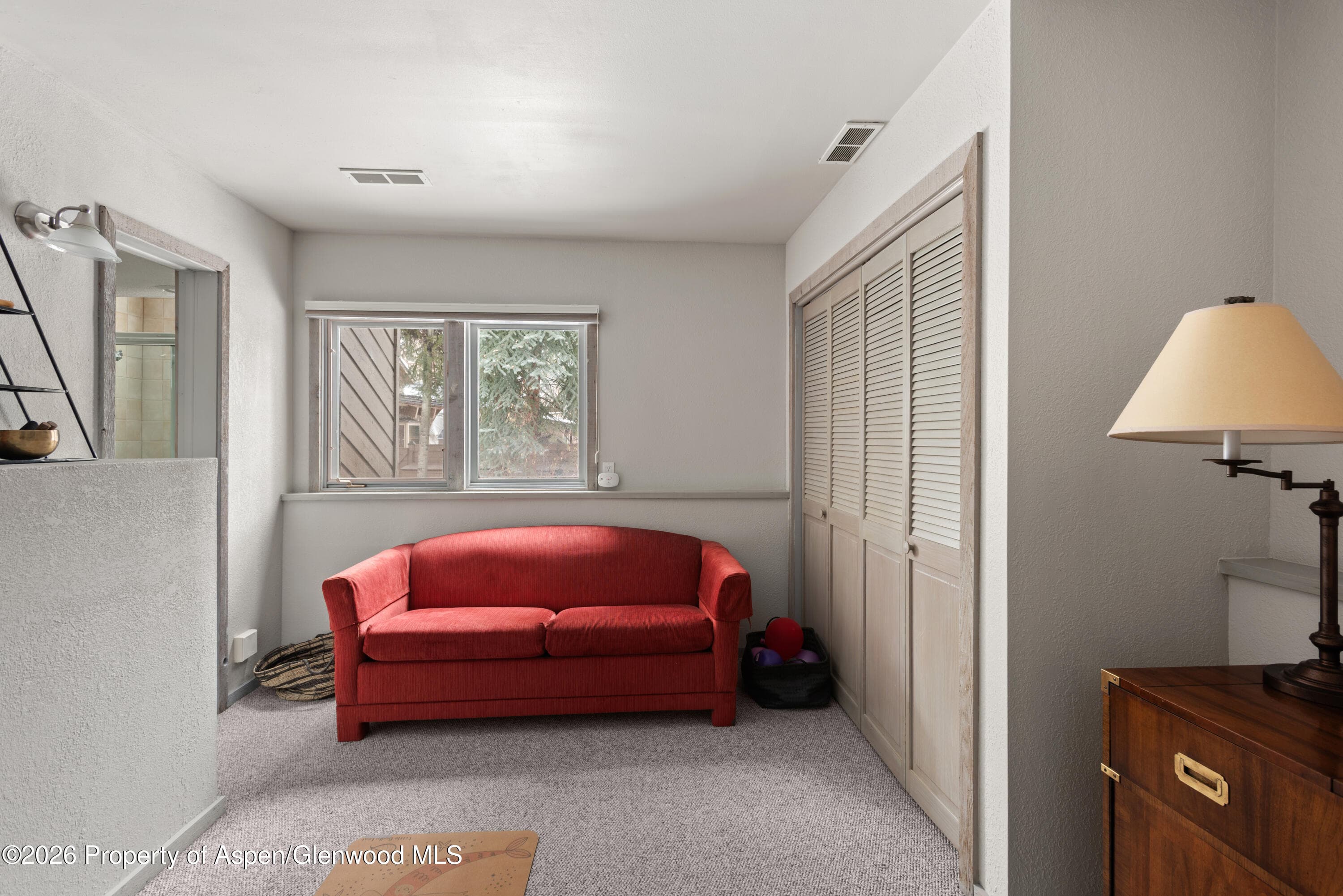 645 Sneaky Lane, Aspen, CO 81611 - Photo 19