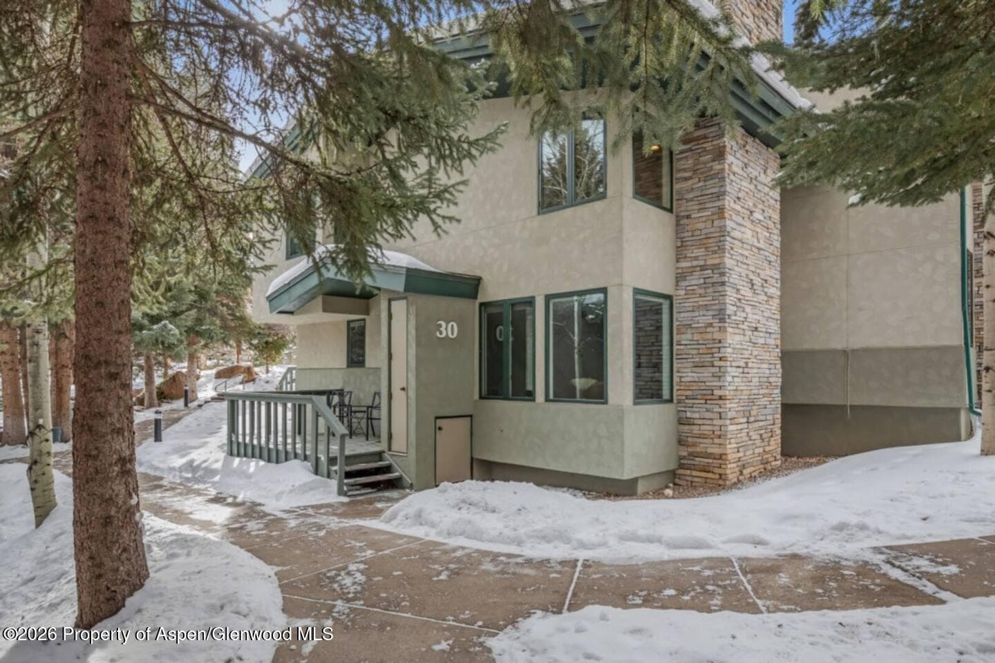 135 Carriage Way 30, Snowmass Village, CO 81615 - Photo 10