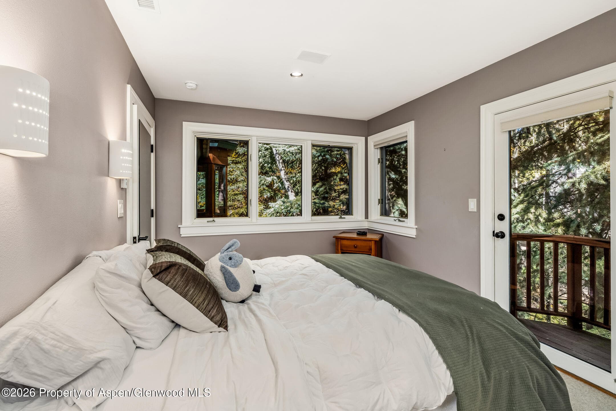 635 Sneaky Lane, Aspen, CO 81611 - Photo 33